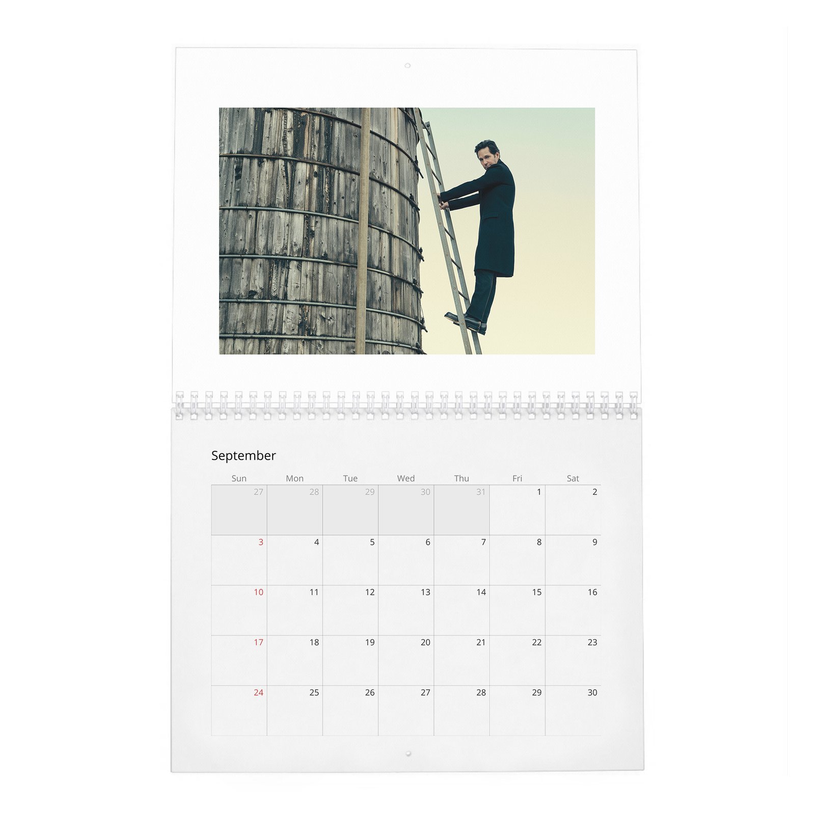 09 Paul Rudd - The Pole Vaulter 2027 Wall Calendar