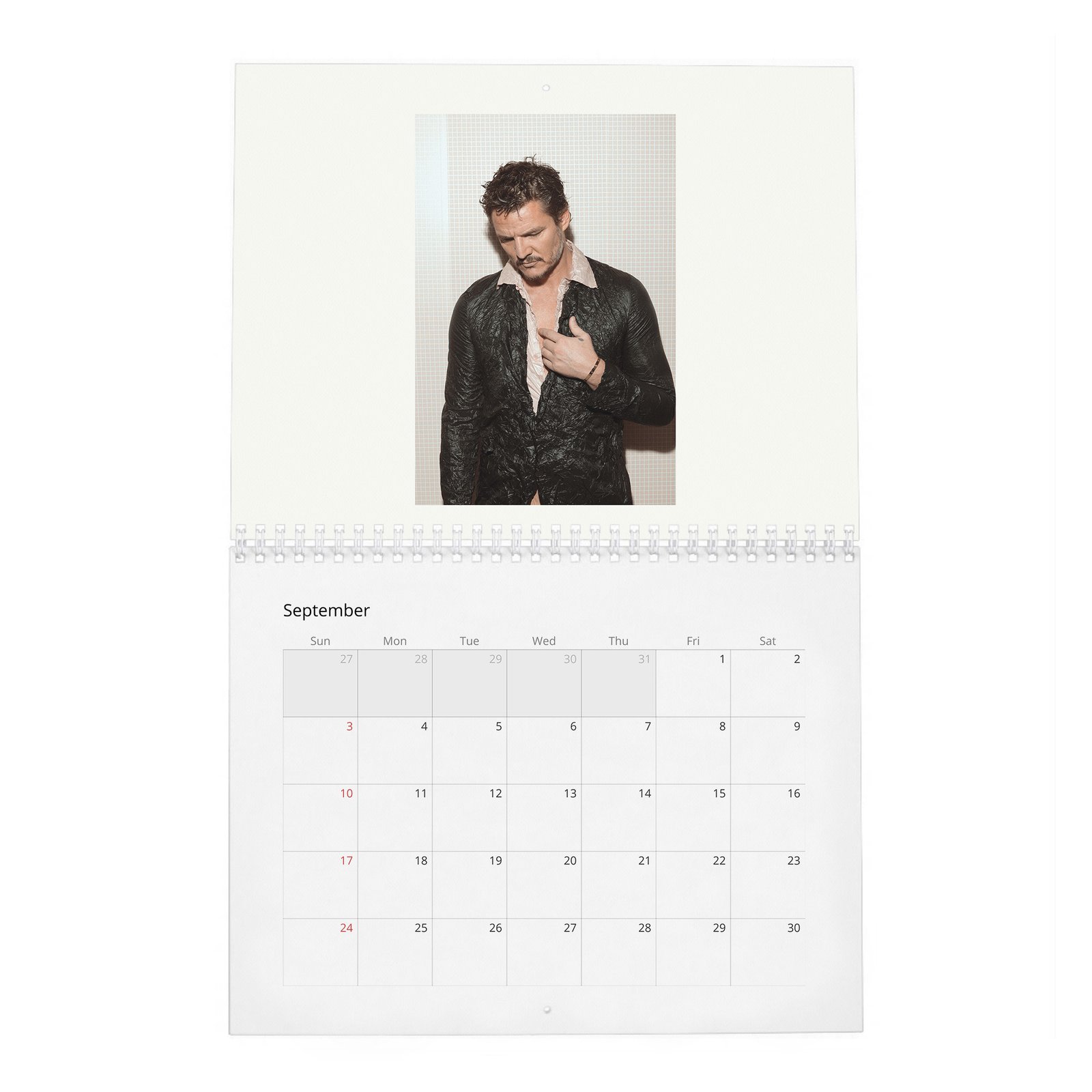 09 Pedro Pascal - Flaunt 2027 Wall Calendar