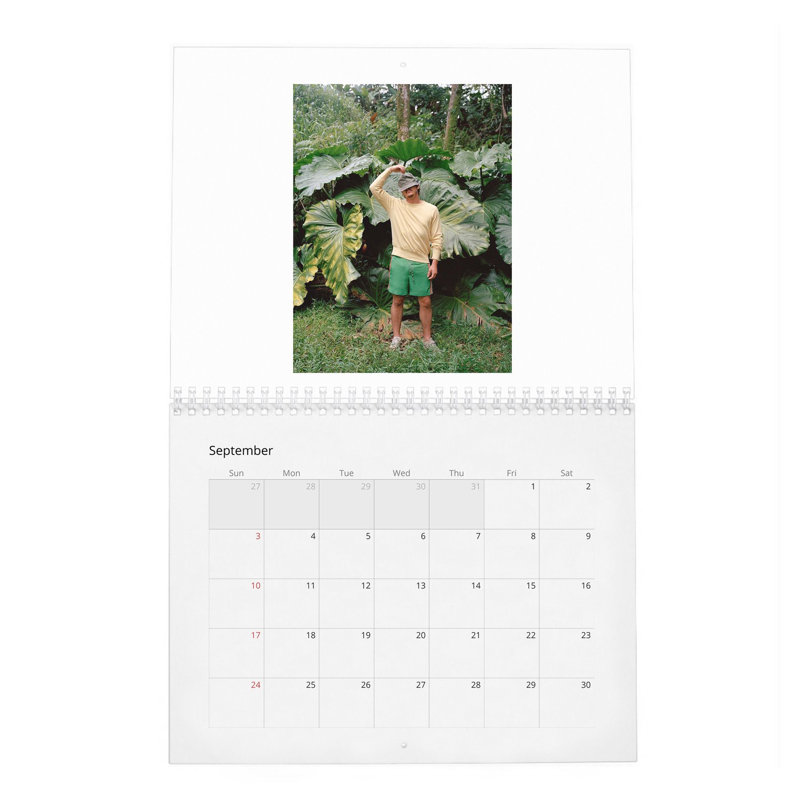 09 Pedro Pascal - In Paradise 2027 Wall Calendar