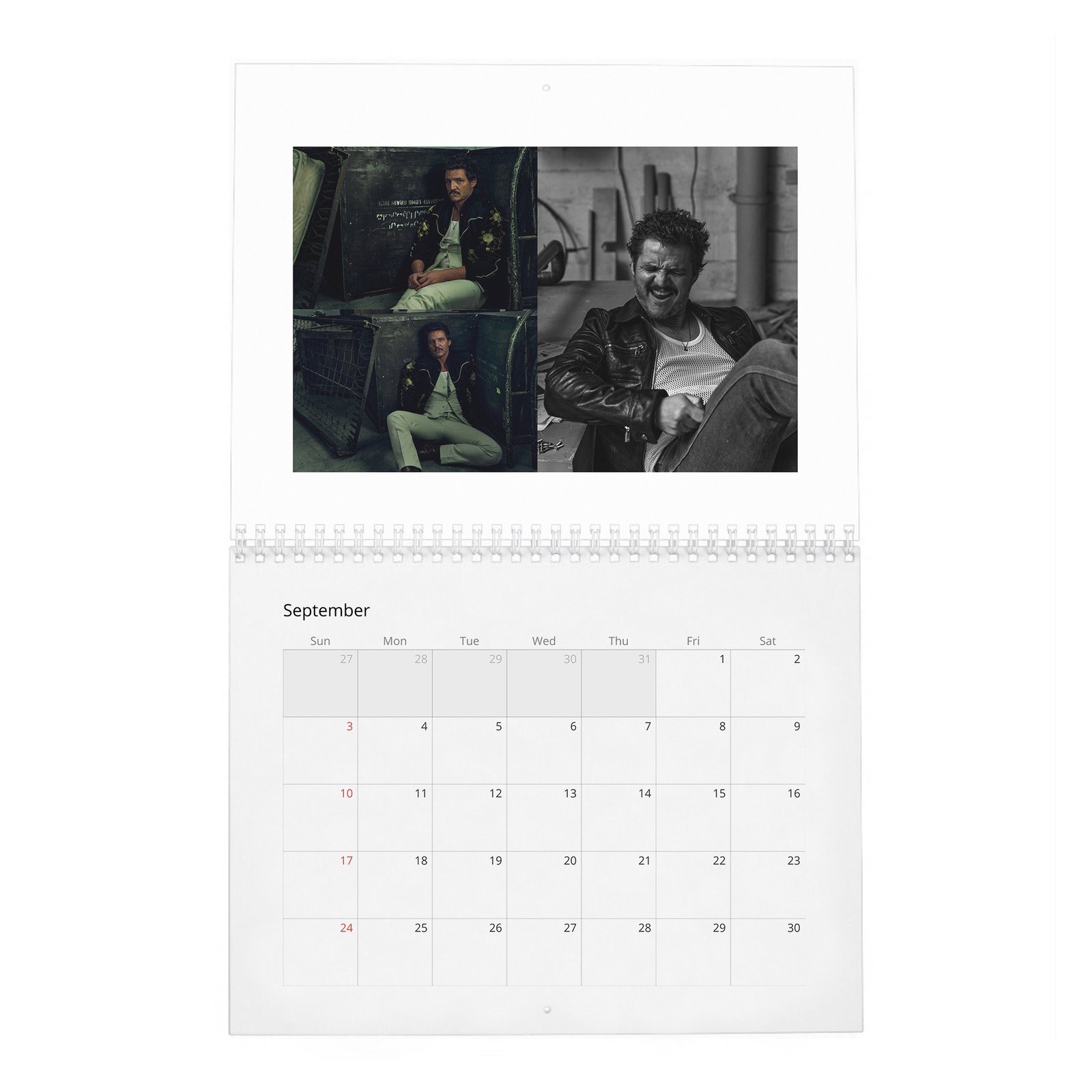 09 Pedro Pascal - The Dangerously Charming 2027 Wall Calendar