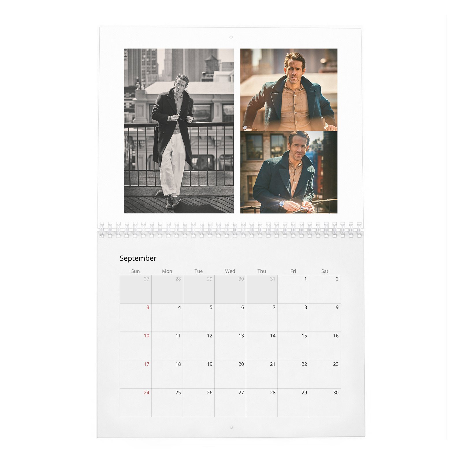 09 Ryan Reynolds - What Keeps Up At Night 2027 Wall Calendar