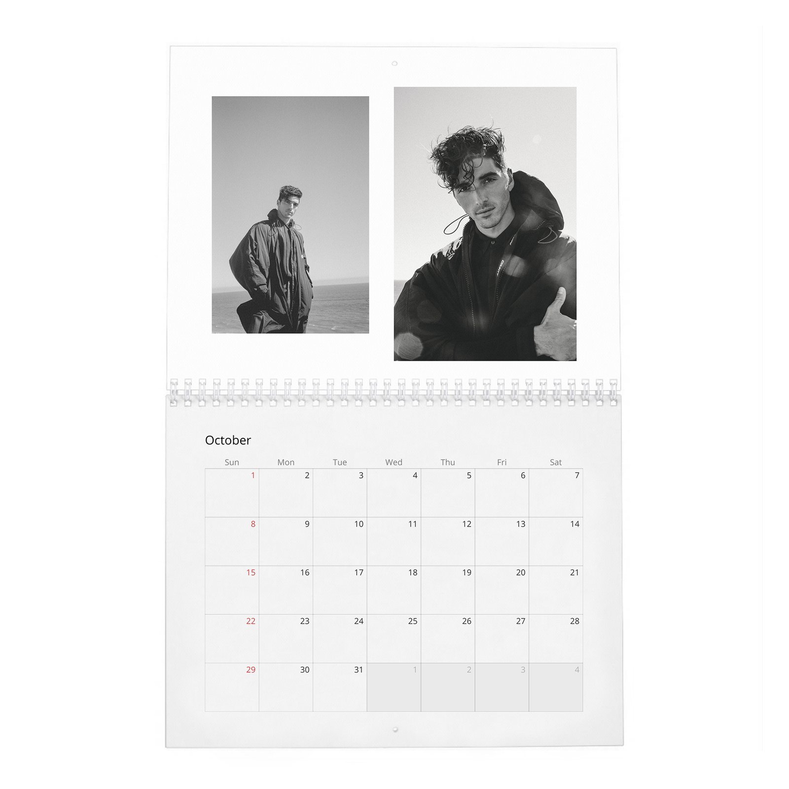 Taylor Zakhar Perez - Content 2027 Wall Calendar
