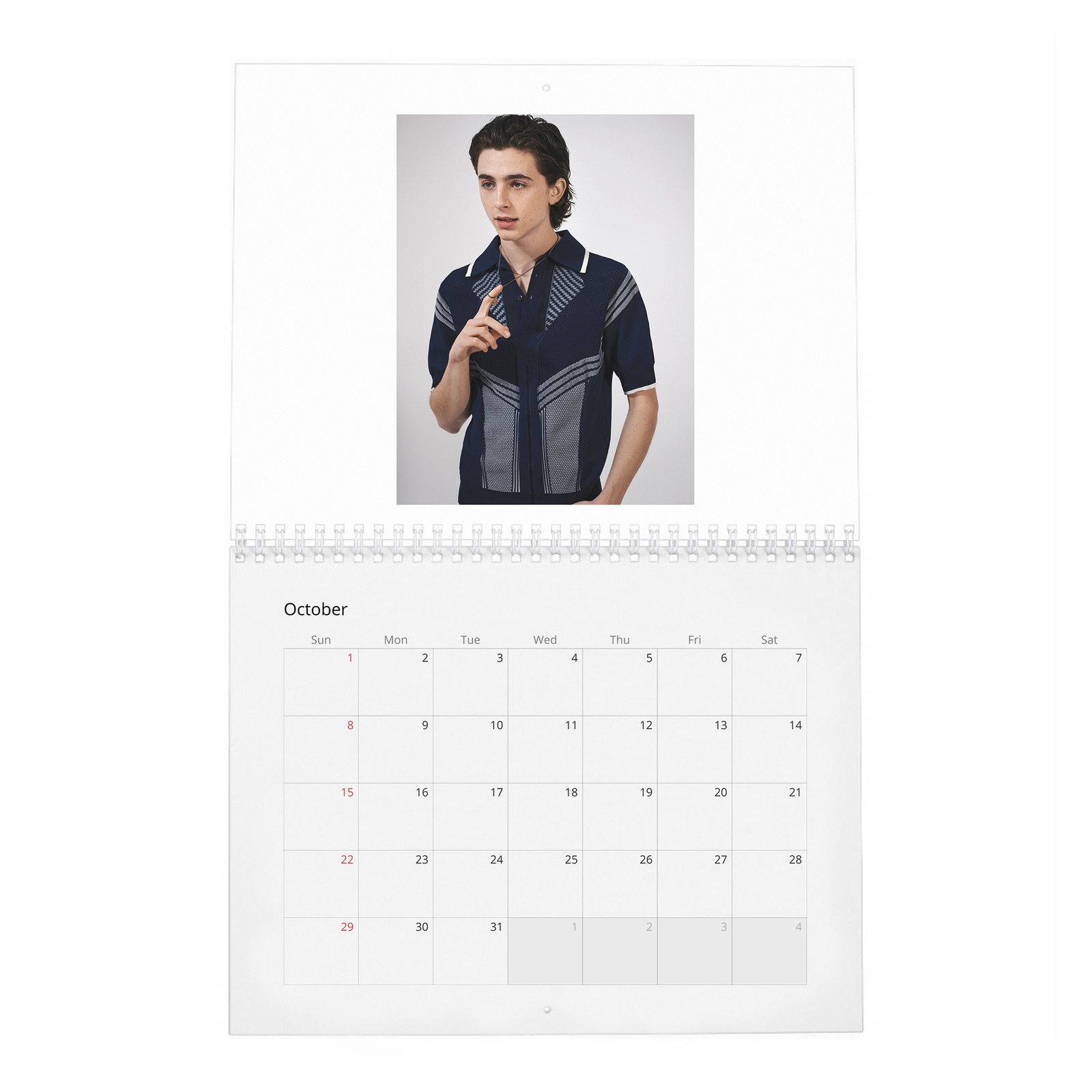 10 Timothée Chalamet - A Day In The Life Of 2027 Wall Calendar