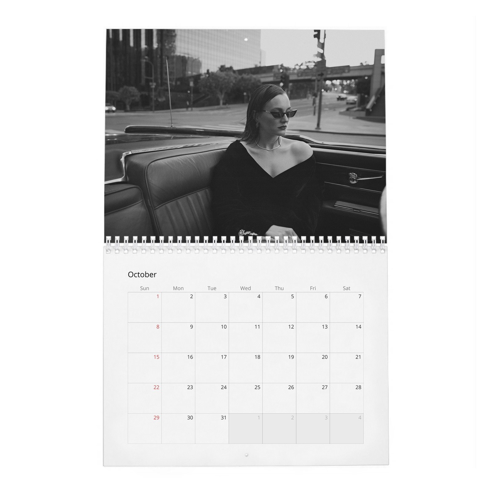 10 Leighton Meester - The Next Episode 2027 Wall Calendar