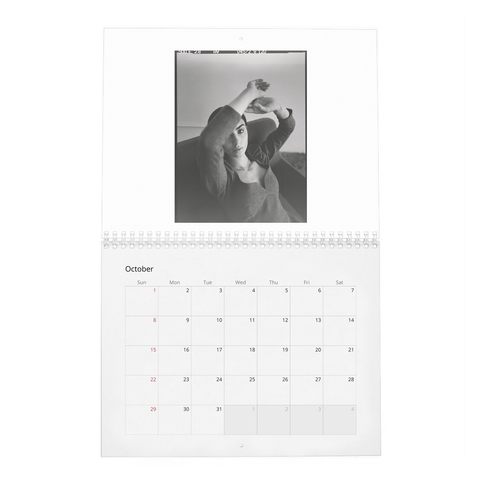 10 Lily Collins - Laterals 2027 Wall Calendar