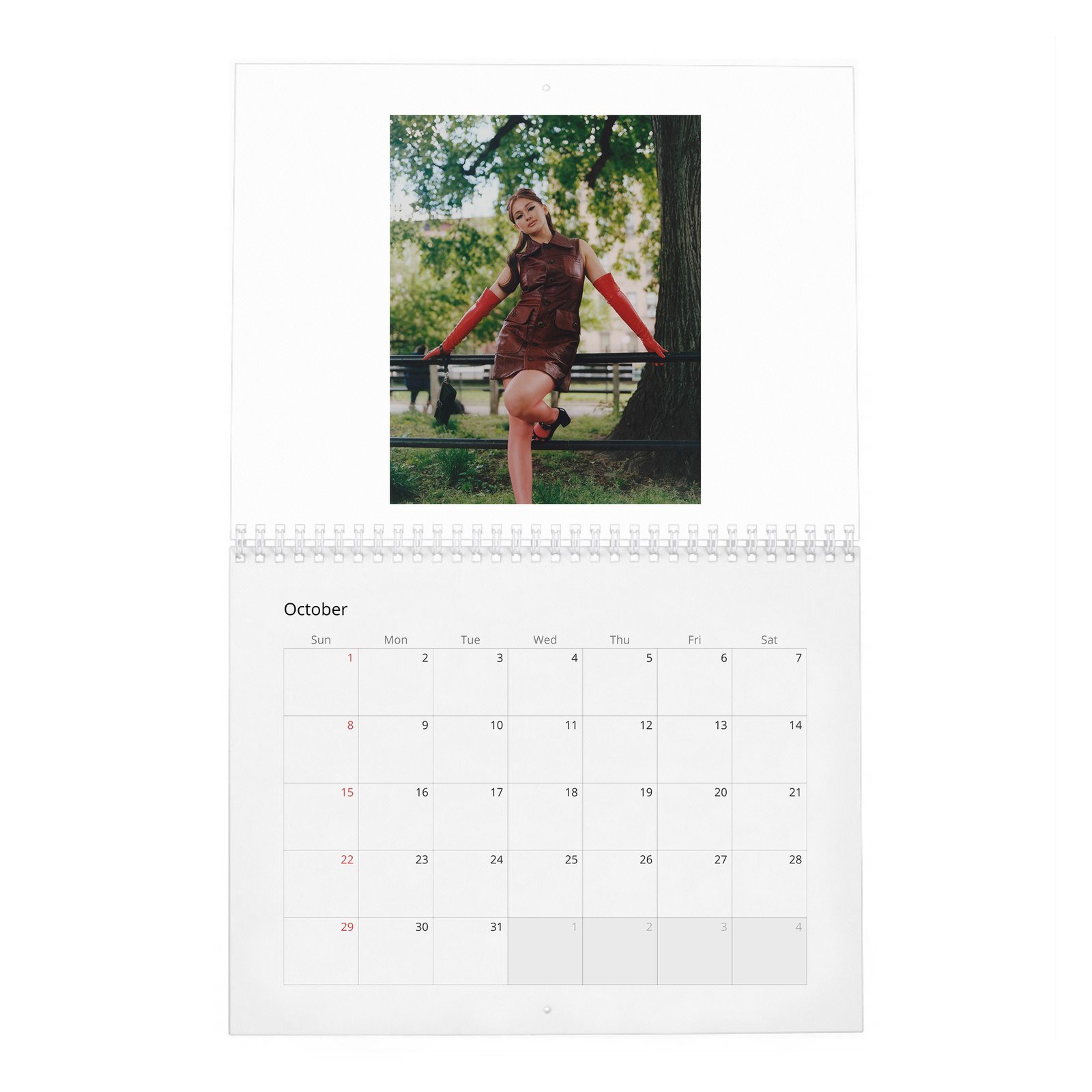10 Lola Tung - Laterals 2027 Wall Calendar