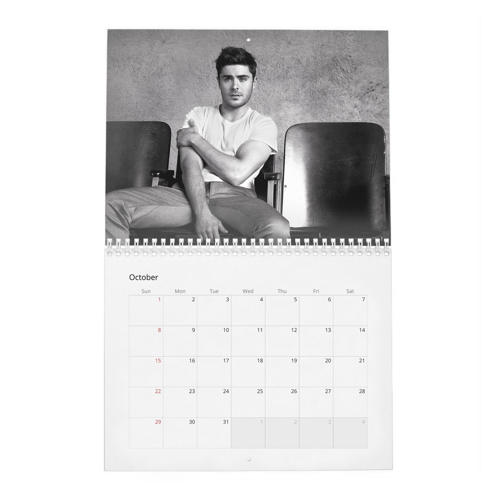 10 Zac Efron - Flaunt 2027 Wall Calendar