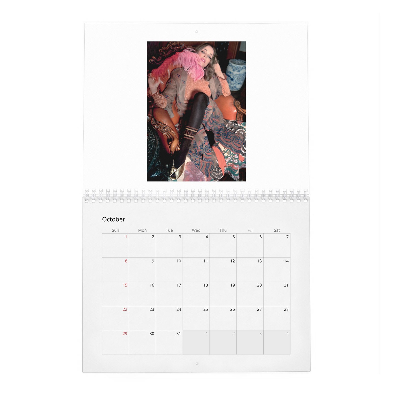 Rachel McAdams - Violet 2027 Wall Calendar