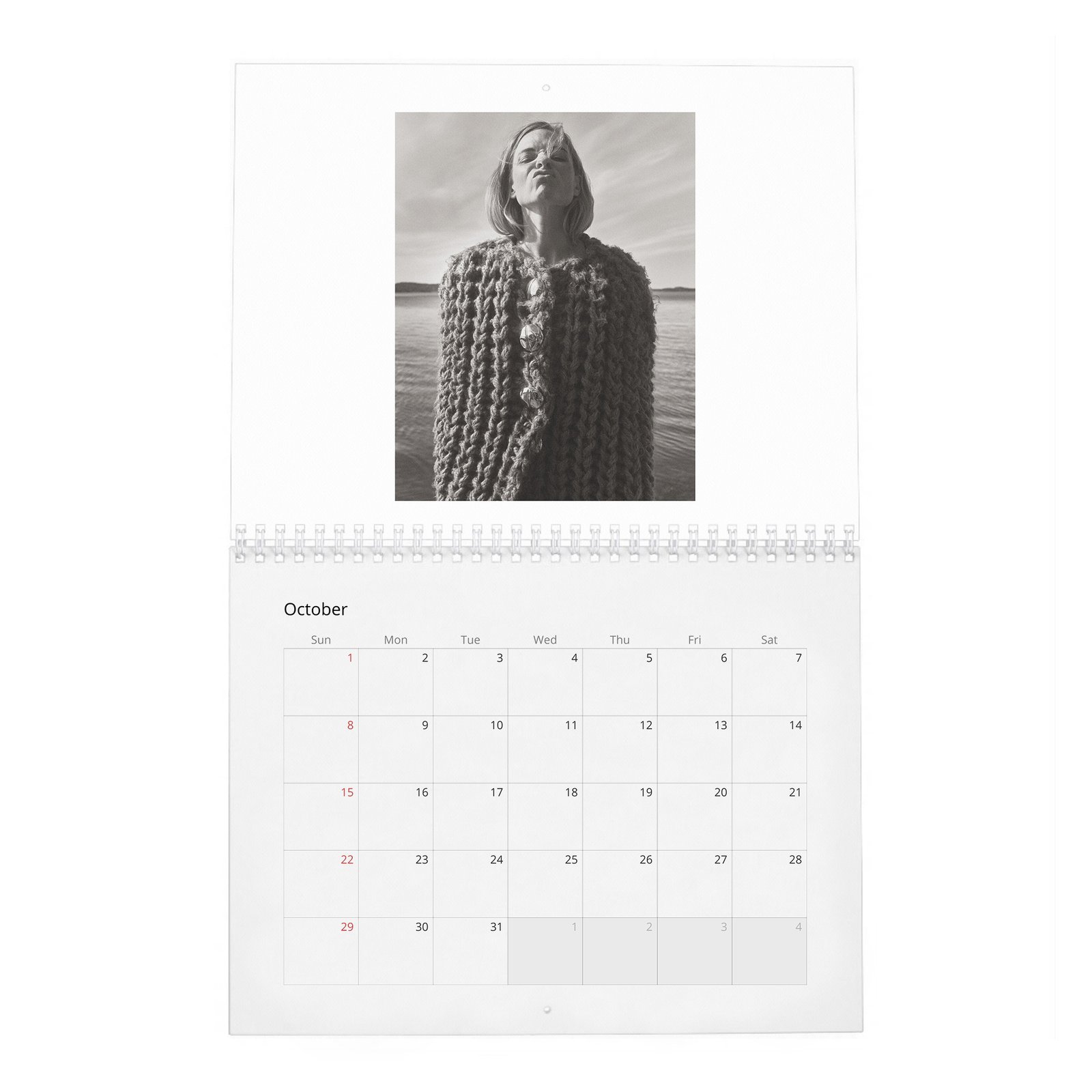 10 Rebecca Ferguson - Personal Vices and Swedish Roots 2027 Wall Calendar