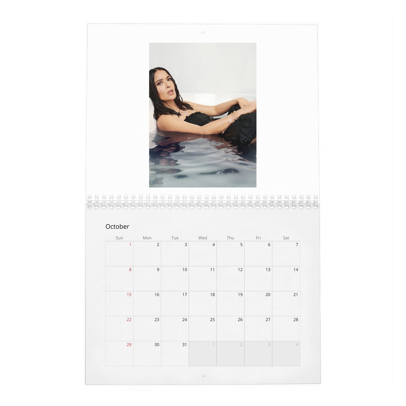 Salma Hayek - Settles In 2027 Wall Calendar