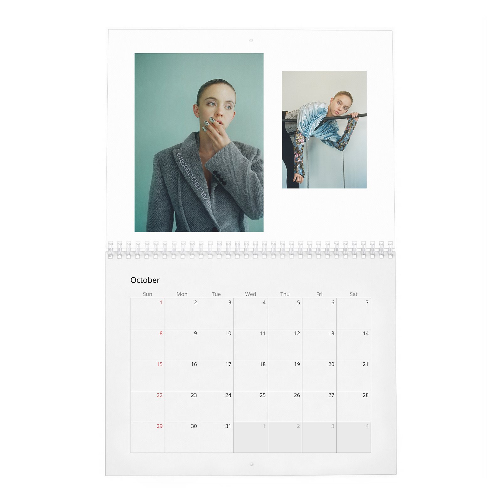 10 Sydney Sweeney - Plan A Only 2027 Wall Calendar
