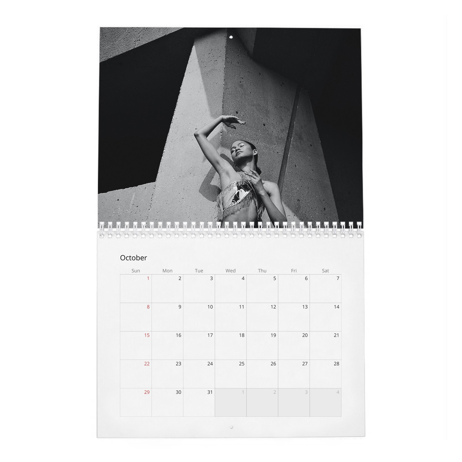 10 Zendaya - Future Human 2027 Wall Calendar