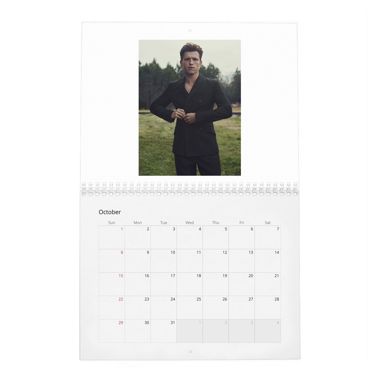 10 Tom Holland - The Charm And Grit Of 2027 Wall Calendar
