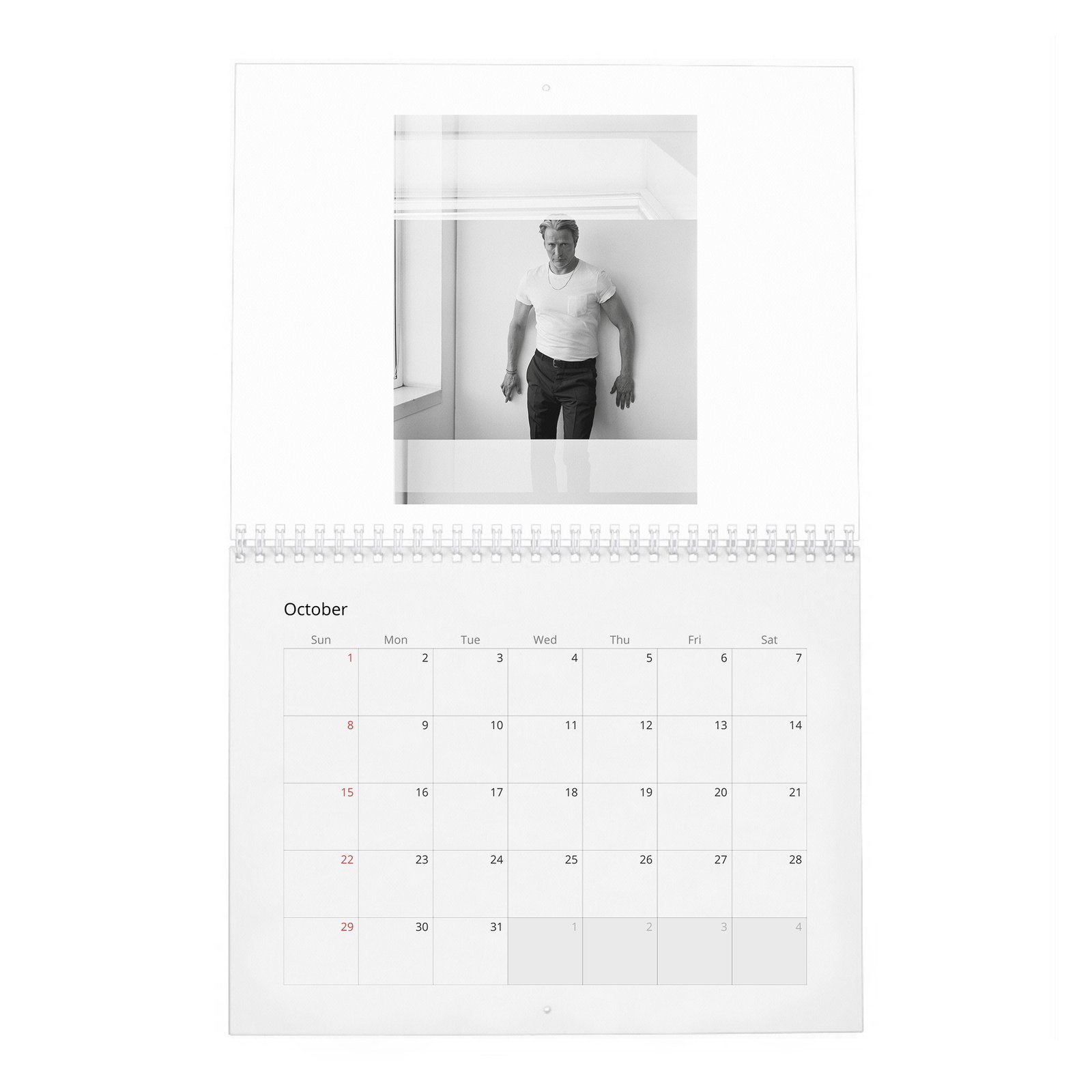 10 Mads Mikkelsen - The Polar Existence 2027 Wall Calendar