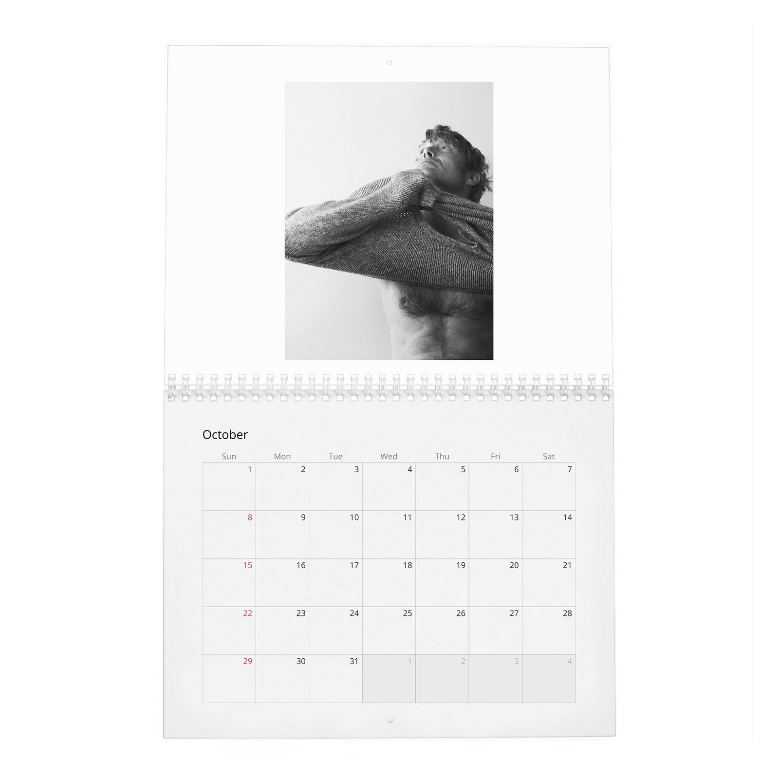 10 Mads Mikkelsen - Zoo 2027 Wall Calendar