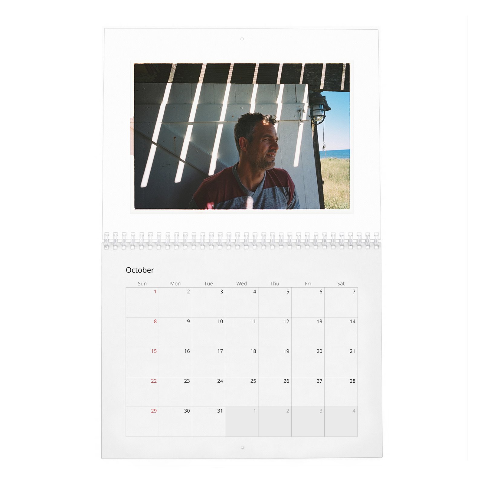 10 Mark Ruffalo - So It Goes 2027 Wall Calendar