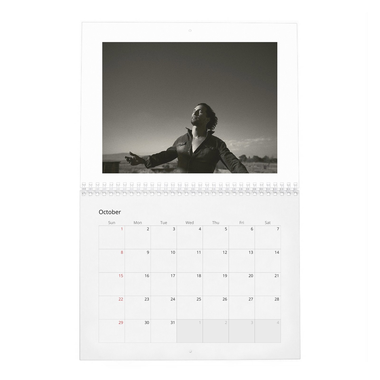 10 Matthew McConaughey - Reinvents Himself 2027 Wall Calendar