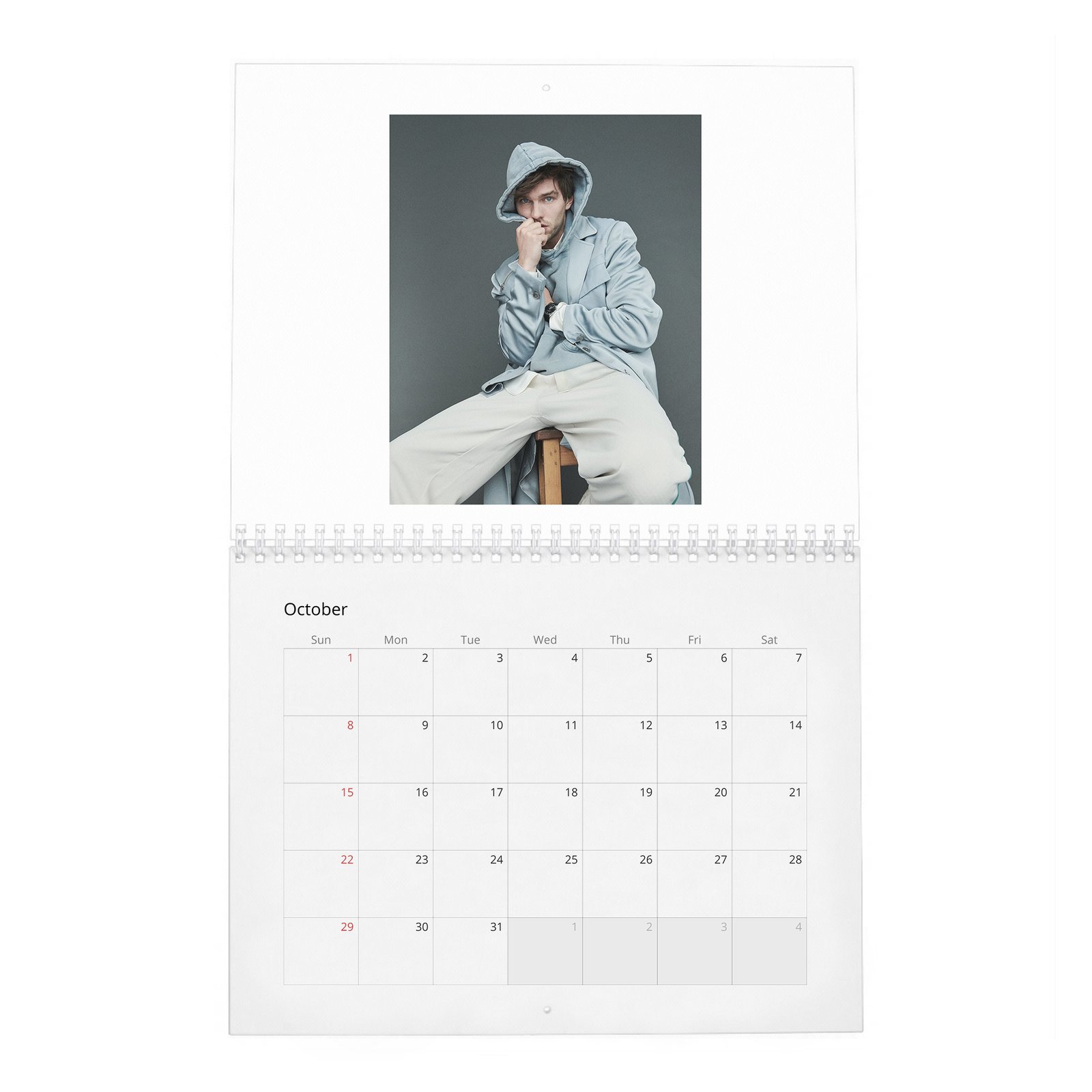 Nicholas Hoult - The Great 2027 Wall Calendar