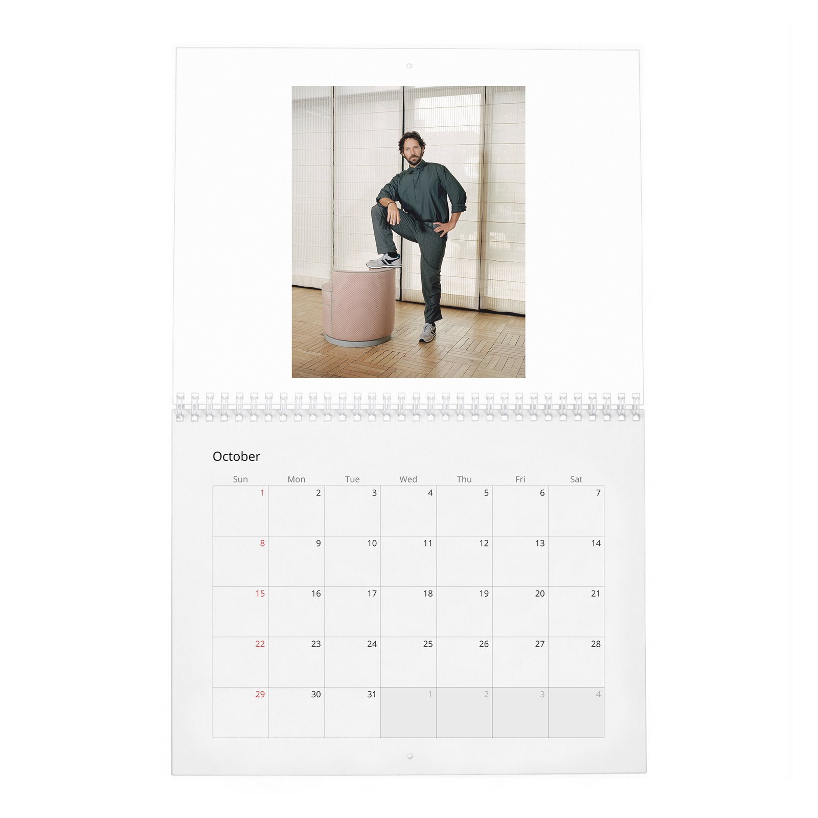 Paul Rudd - Outside His Wheelhouse 2027 Wall Calendar