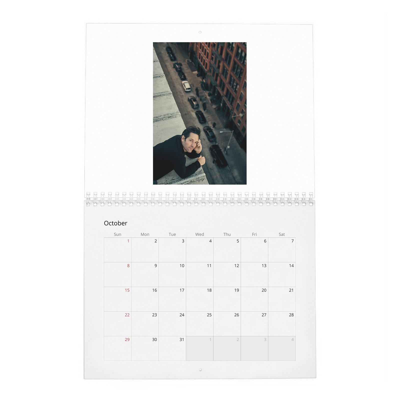 10 Paul Rudd - The Pole Vaulter 2027 Wall Calendar