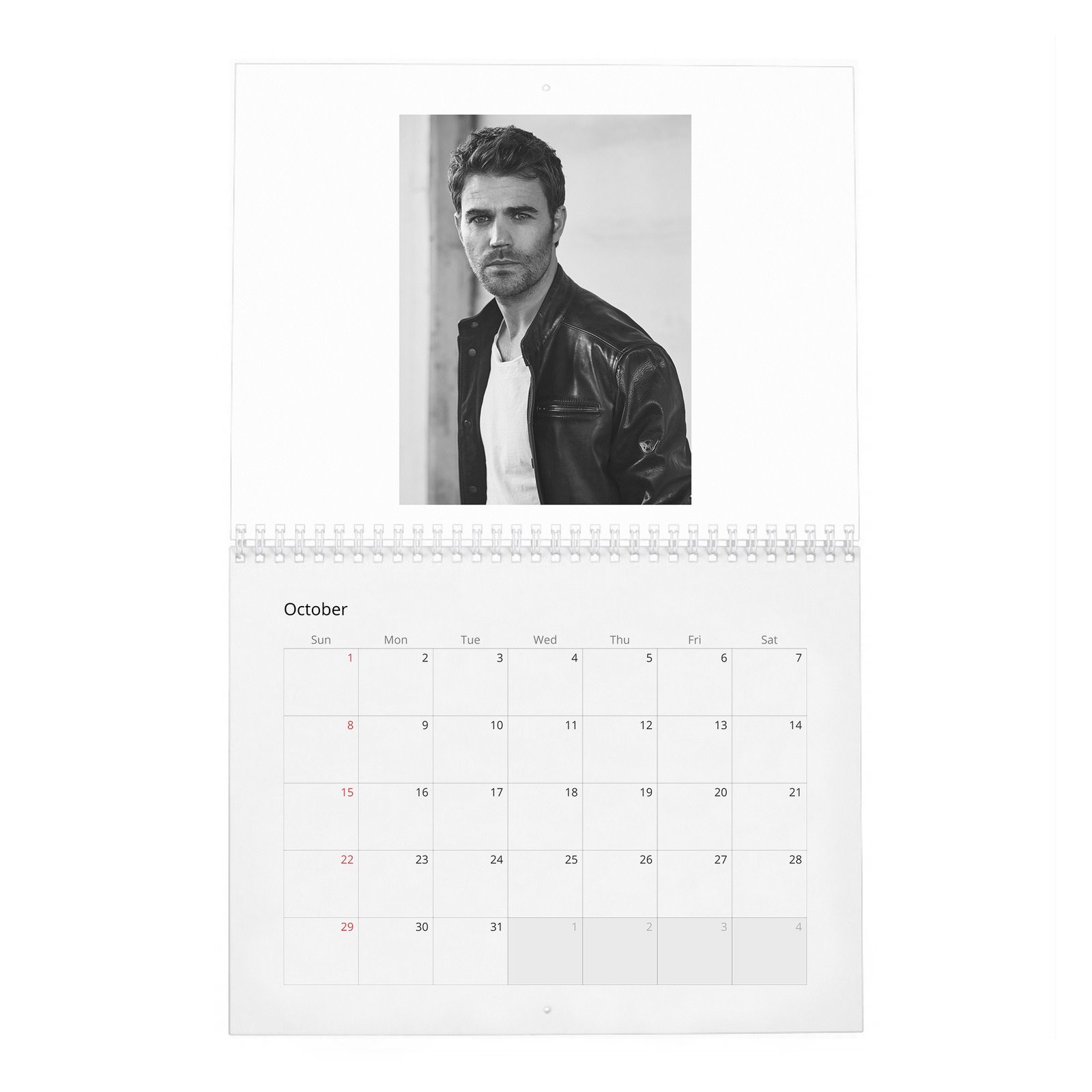 10 Paul Wesley - Handsome Devil 2027 Wall Calendar
