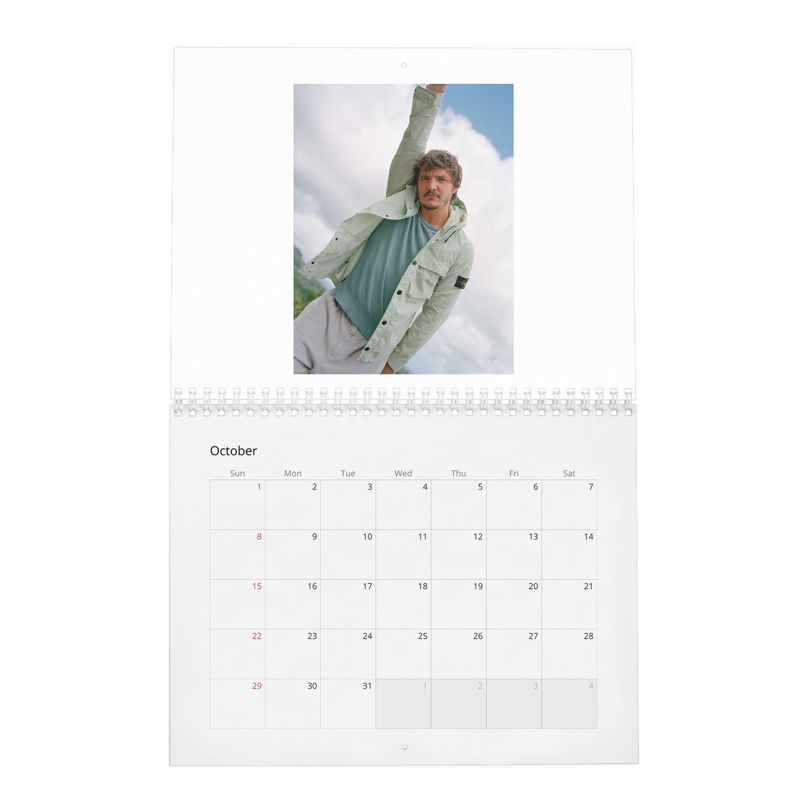10 Pedro Pascal - In Paradise 2027 Wall Calendar