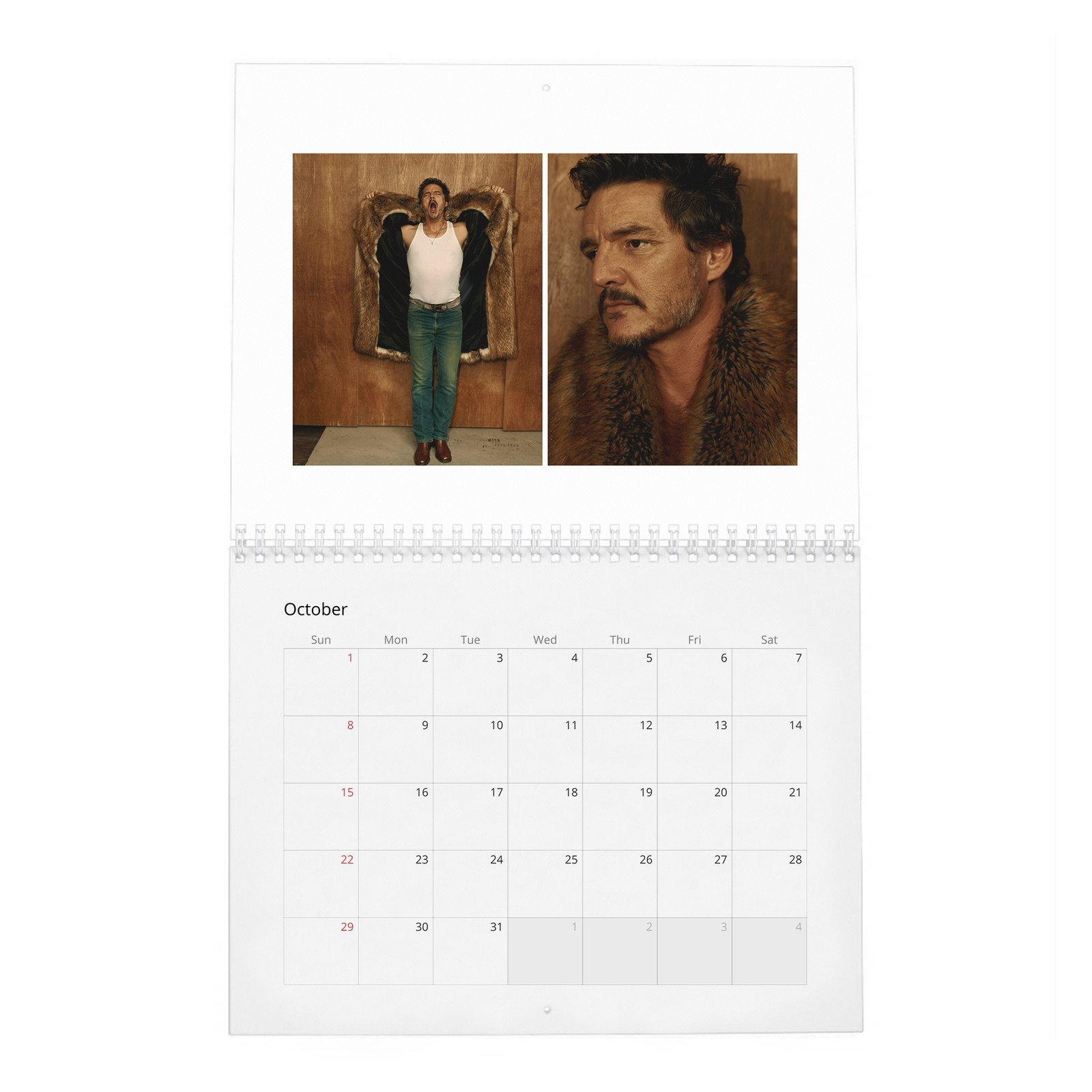 10 Pedro Pascal - The Dangerously Charming 2027 Wall Calendar
