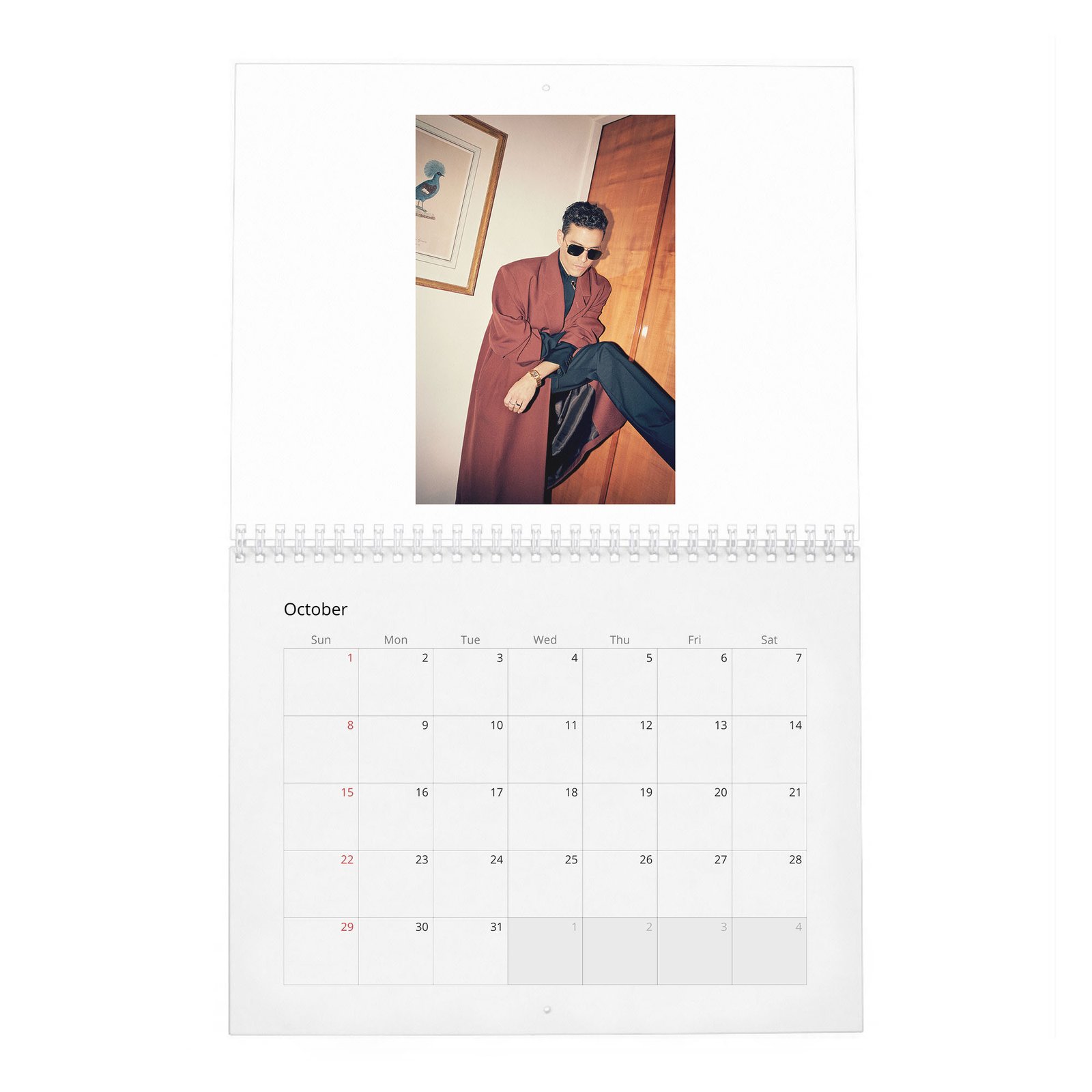 Rami Malek - Without Limits 2027 Wall Calendar