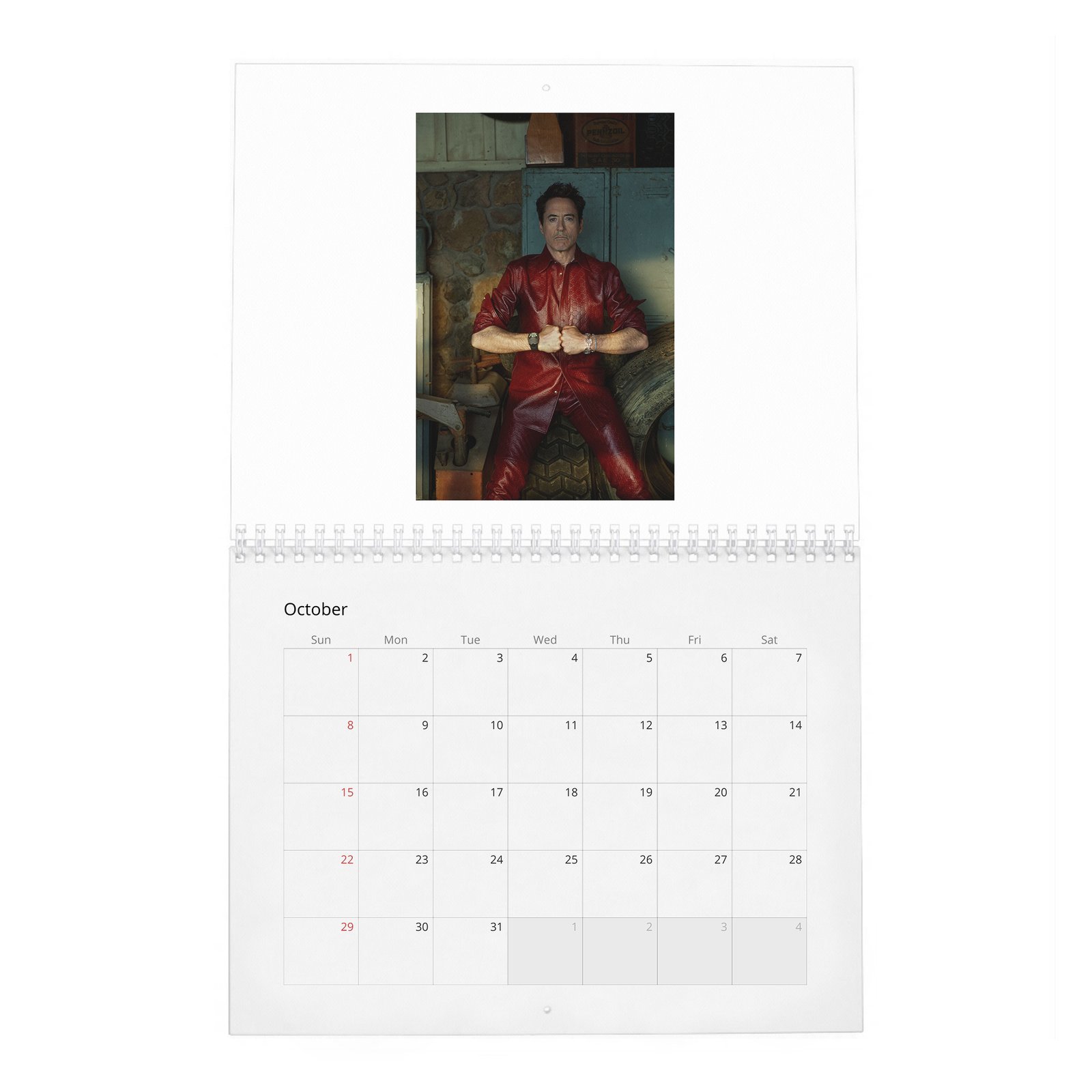 10 Robert Downey Jr. - Acts Up 2027 Wall Calendar