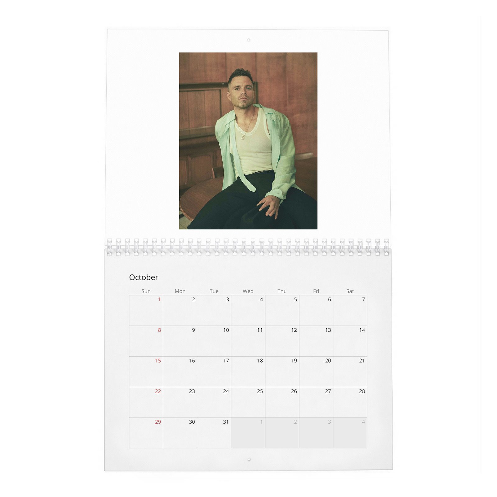 10 Sebastian Stan - Dives Deep 2027 Wall Calendar