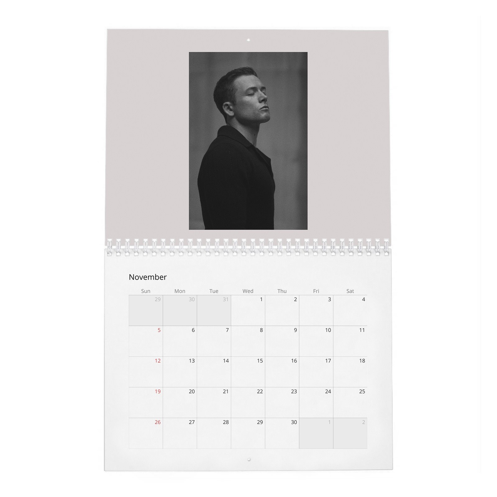 11 Taron Egerton - Flaunt 2027 Wall Calendar