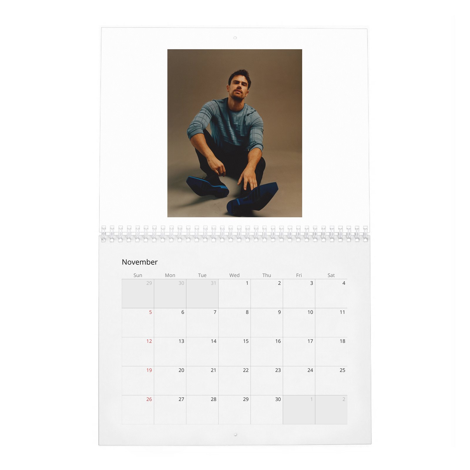 11 Theo James - Objectification And Being A Heart-Throb 2027 Wall Calendar