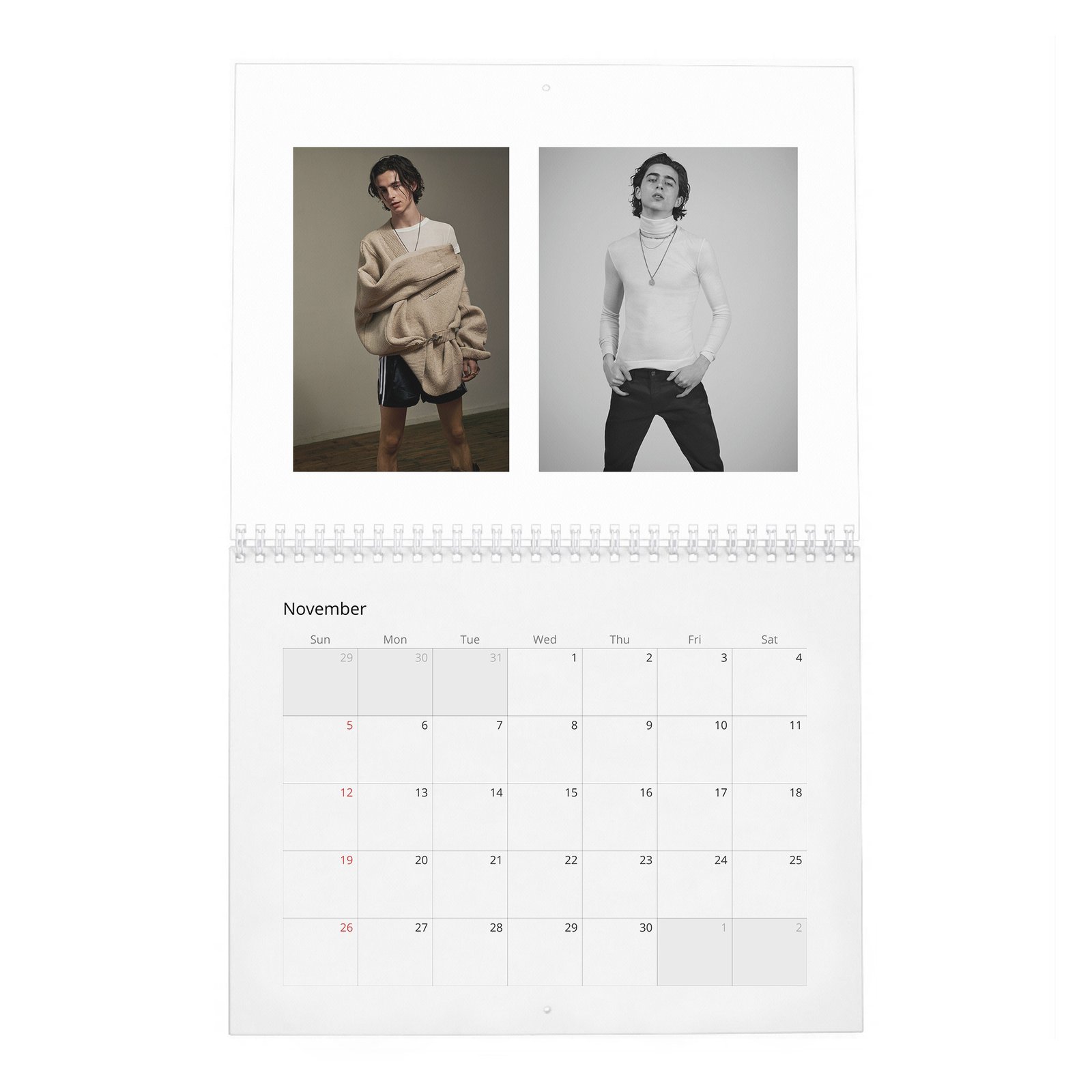 11 Timothée Chalamet - A Day In The Life Of 2027 Wall Calendar