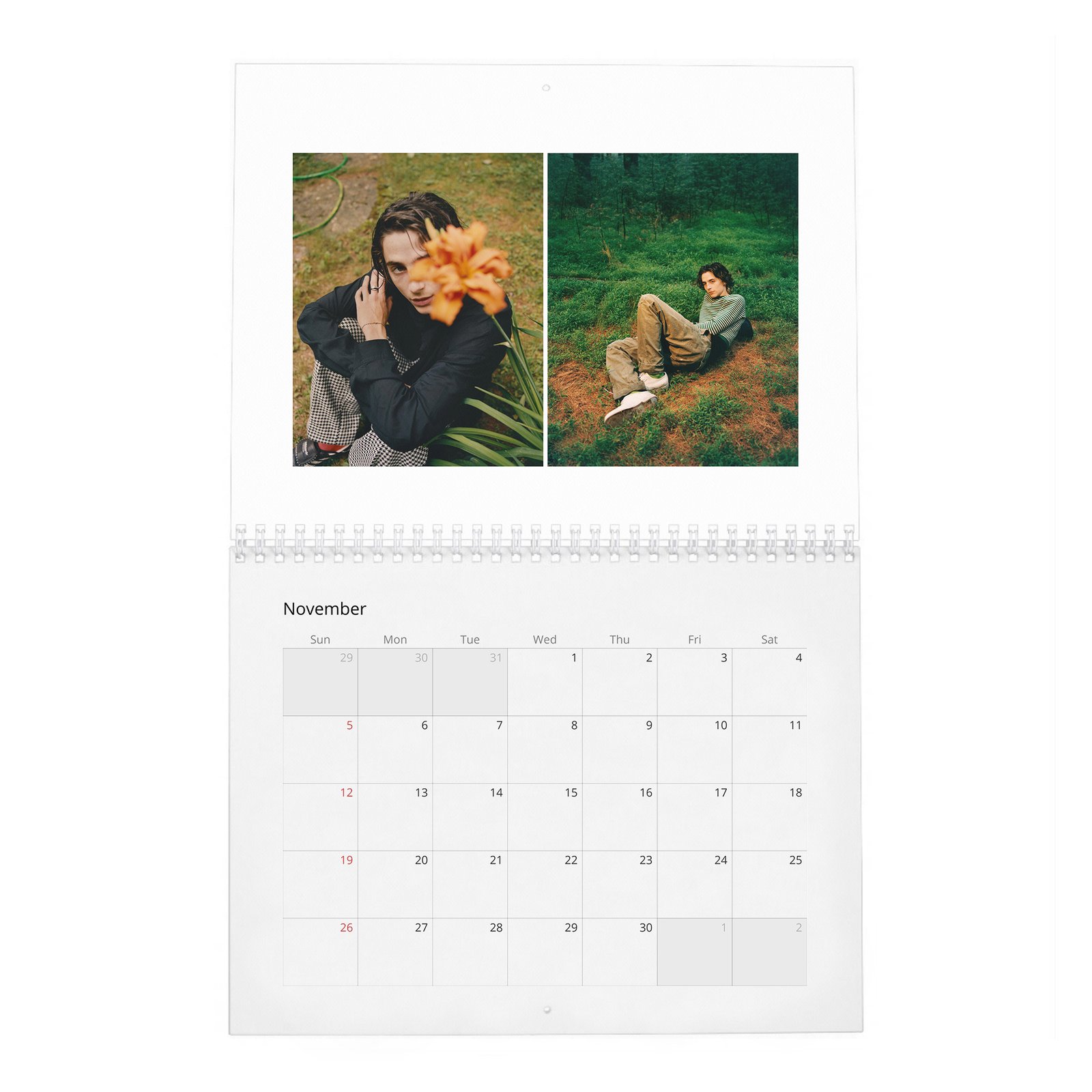 11 Timothée Chalamet - Hiding Out In Woodstock With 2027 Wall Calendar