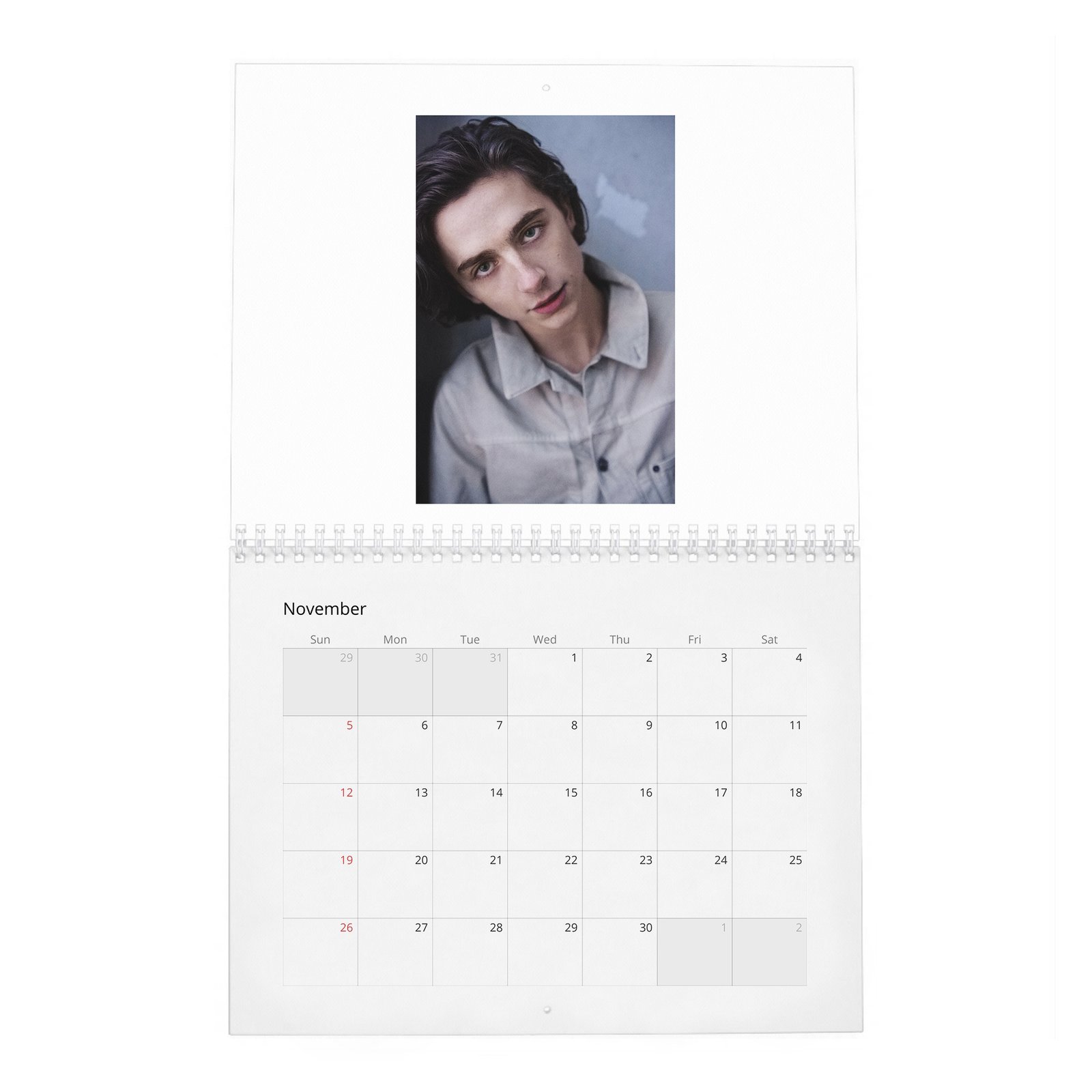 Timothée Chalamet - The Arrival Of 2027 Wall Calendar