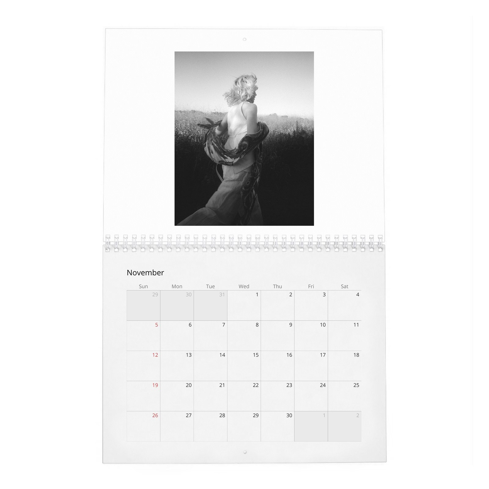 Odessa Young - The Quiet Heroine 2027 Wall Calendar