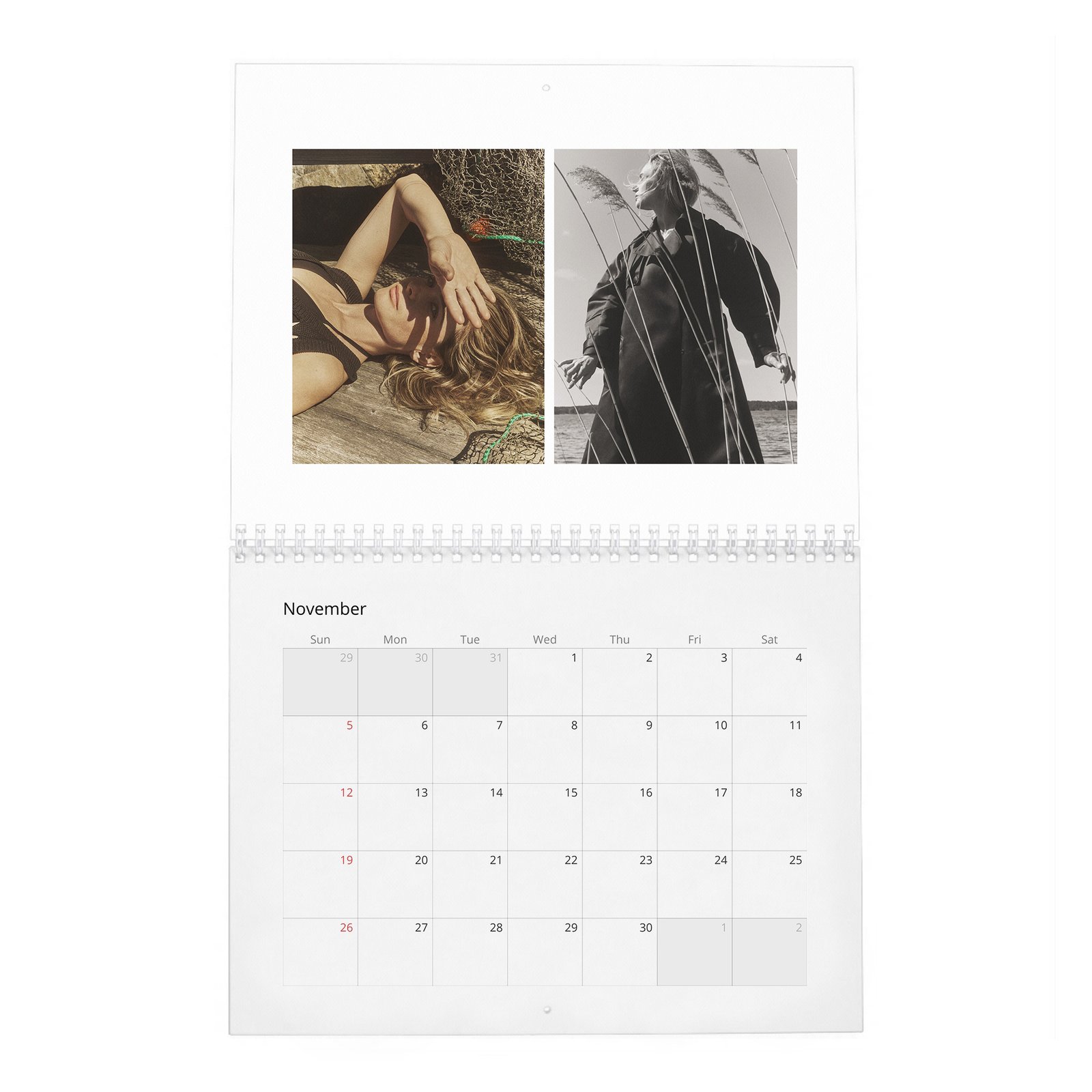 11 Rebecca Ferguson - Personal Vices and Swedish Roots 2027 Wall Calendar