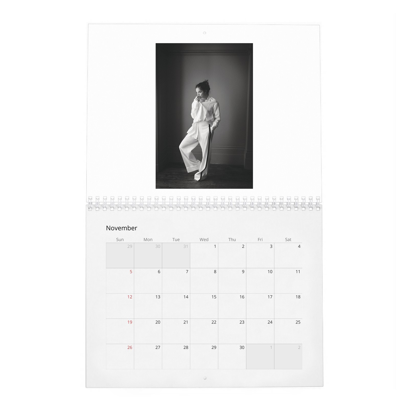 11 Ruth Wilson - A Single Mind 2027 Wall Calendar