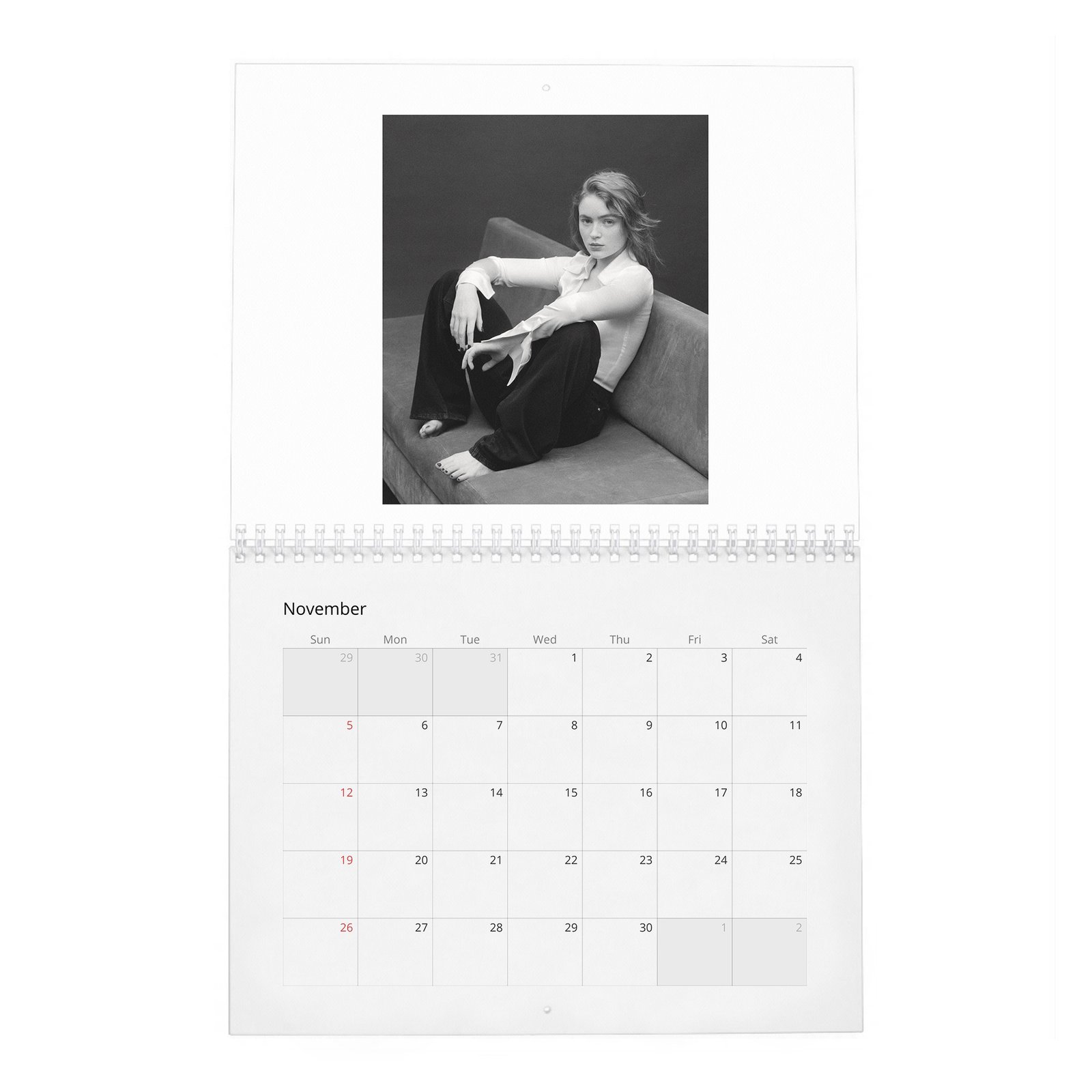 11 Sadie Sink - Bold Discretion 2027 Wall Calendar