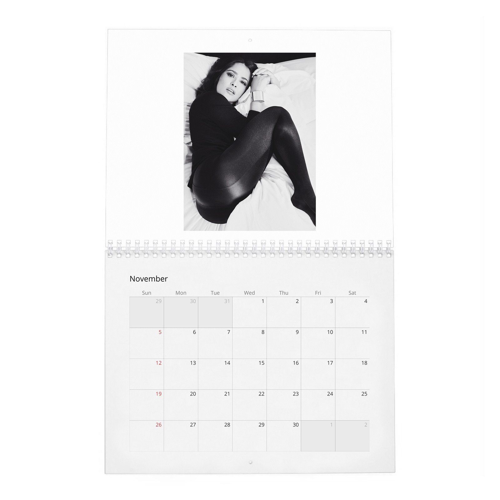 Salma Hayek - Settles In 2027 Wall Calendar