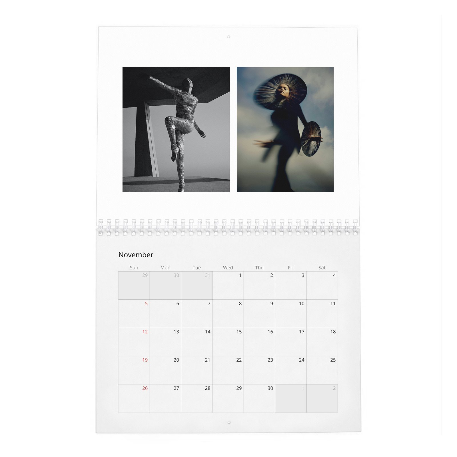 11 Zendaya - Future Human 2027 Wall Calendar
