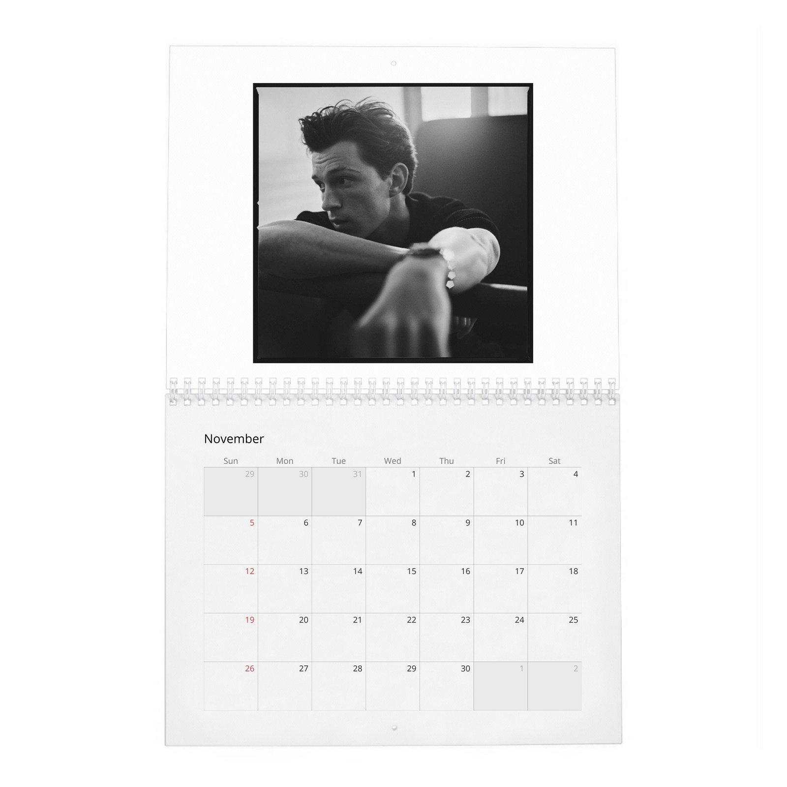 11 Tom Holland - The Charm And Grit Of 2027 Wall Calendar