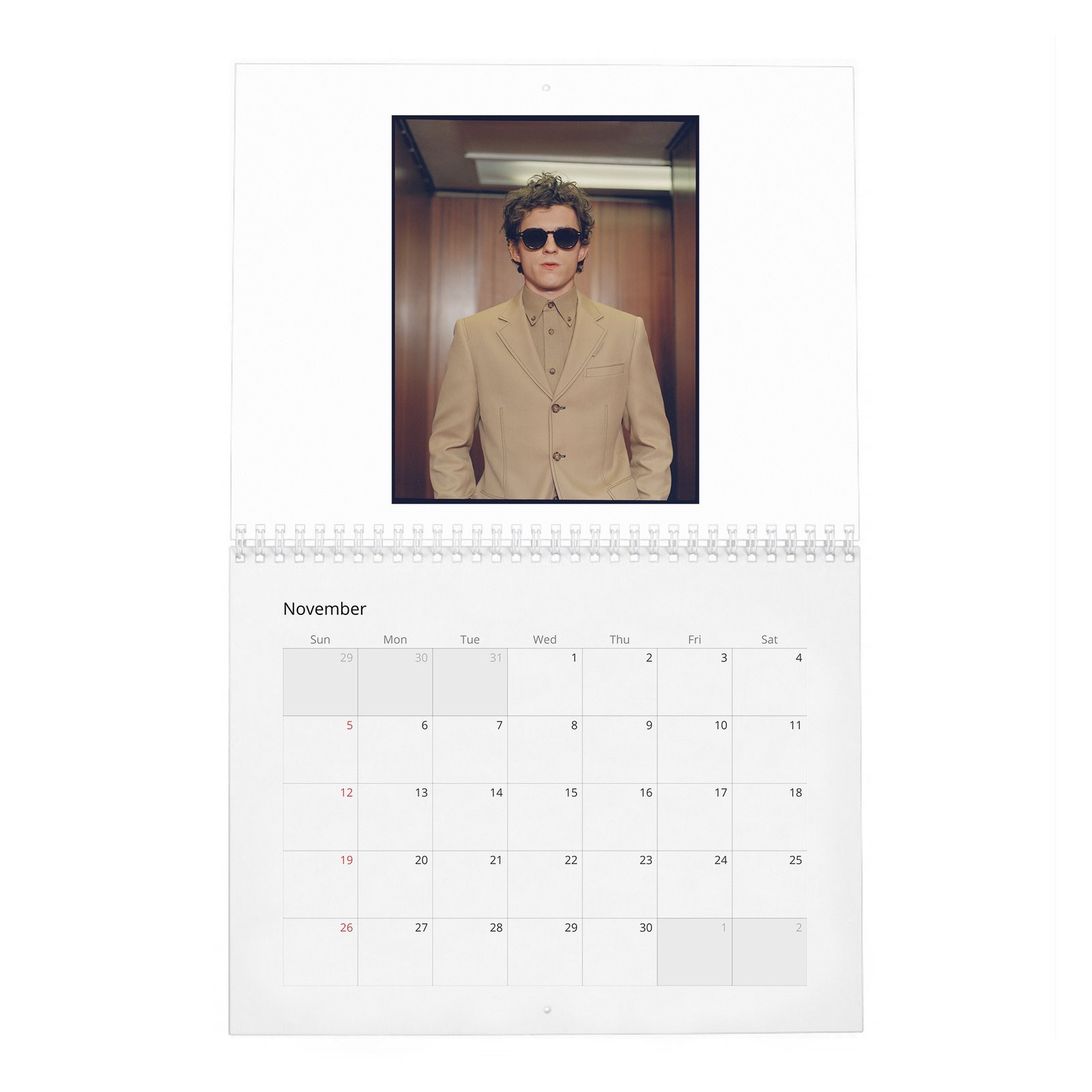 Tom Holland - The Center Of The Web 2027 Wall Calendar