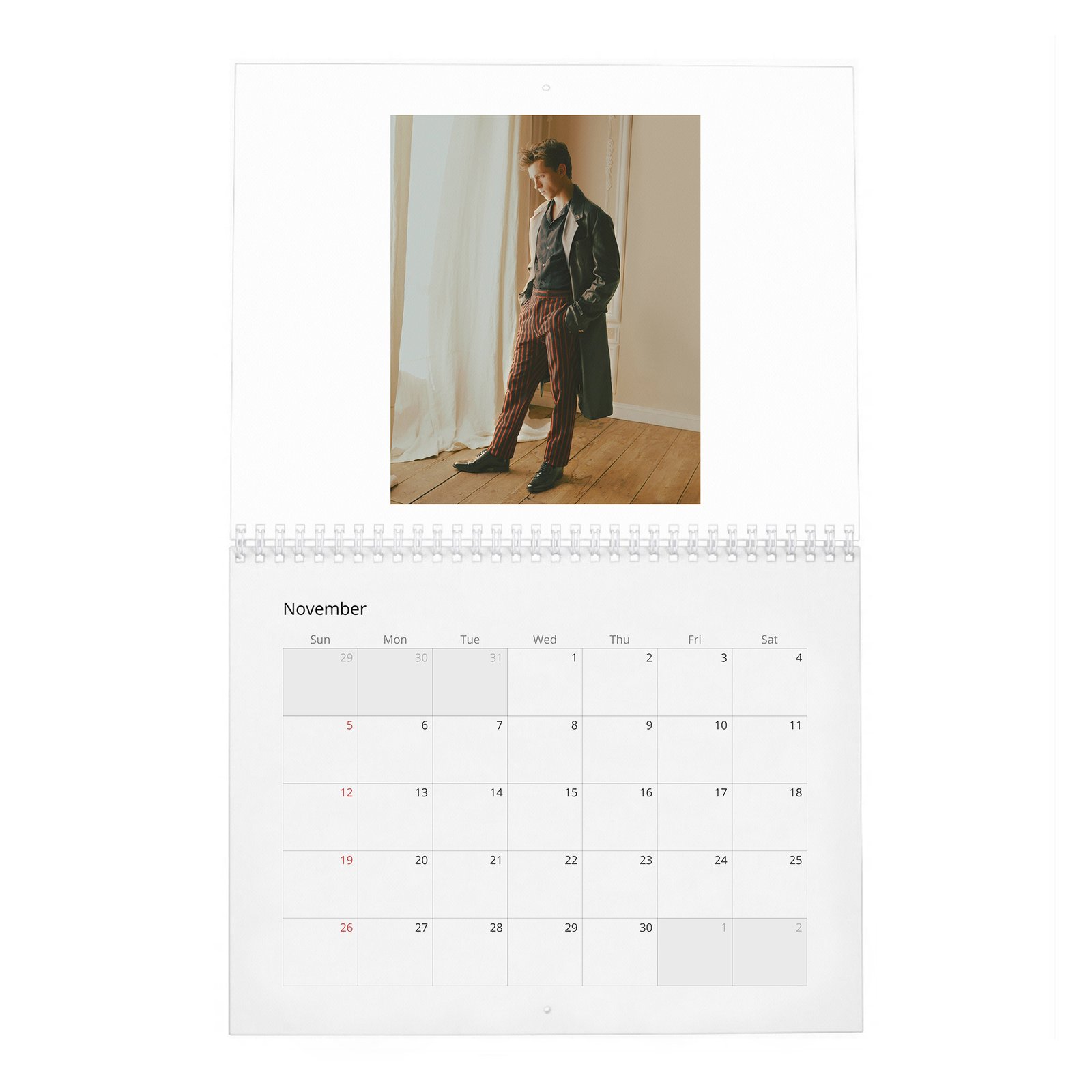 Tom Holland - Braces For Impact 2027 Wall Calendar