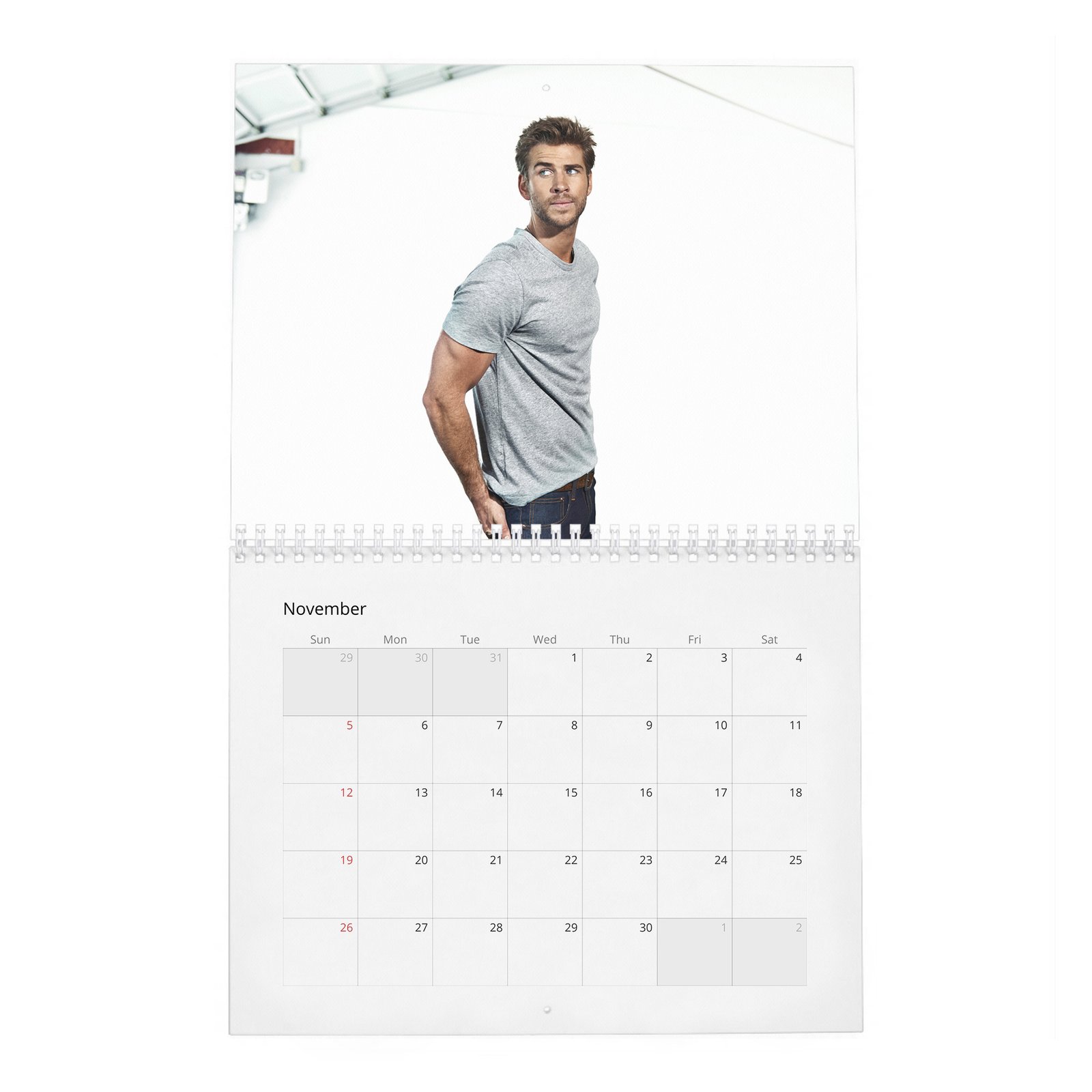 11 Liam Hemsworth - A Force Of Nature 2027 Wall Calendar