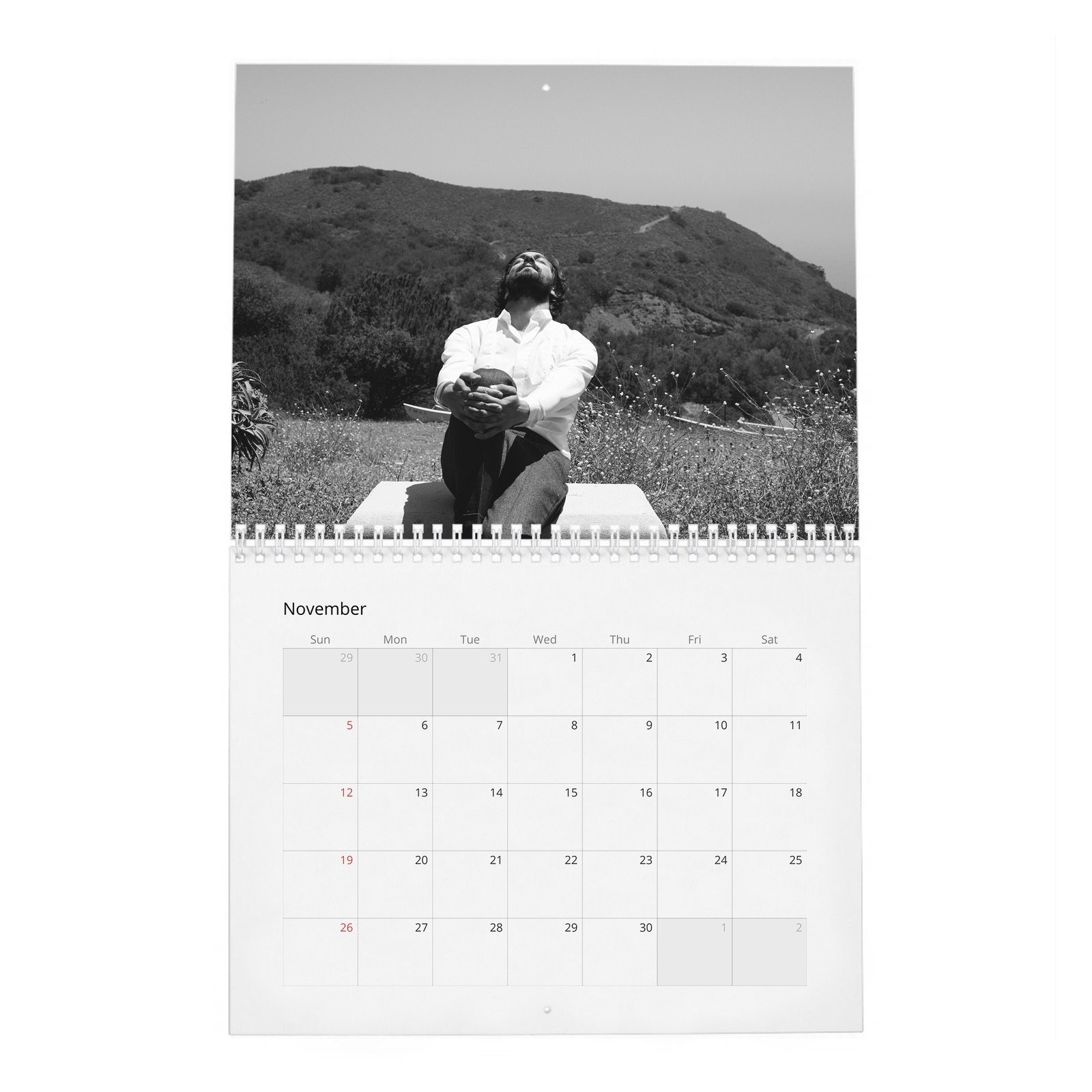 Michiel Huisman - Force At Large 2027 Wall Calendar