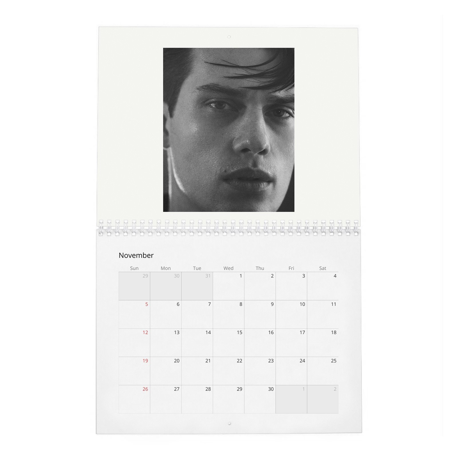 11 Nicholas Galitzine - Flaunt 2027 Wall Calendar