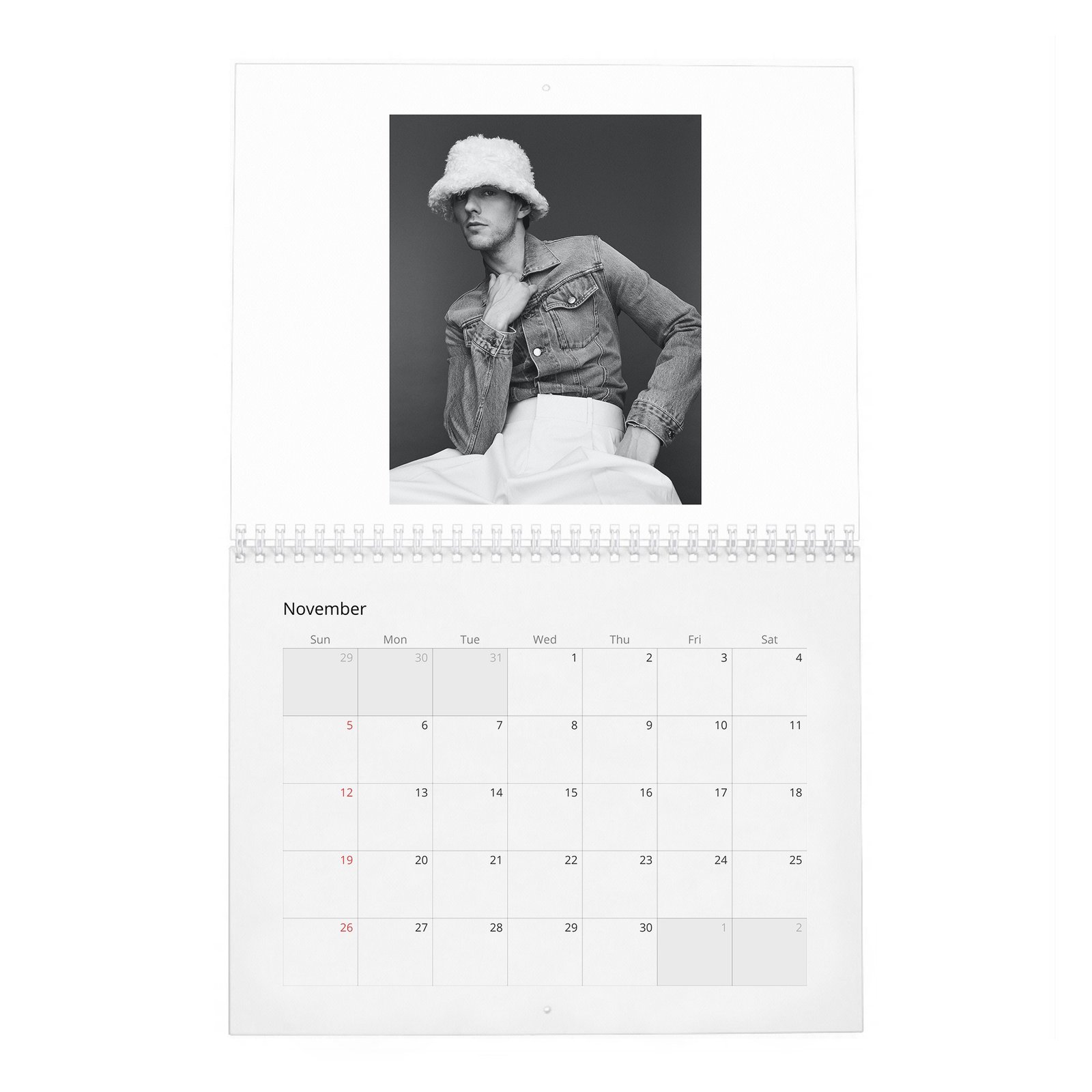 Nicholas Hoult - The Great 2027 Wall Calendar