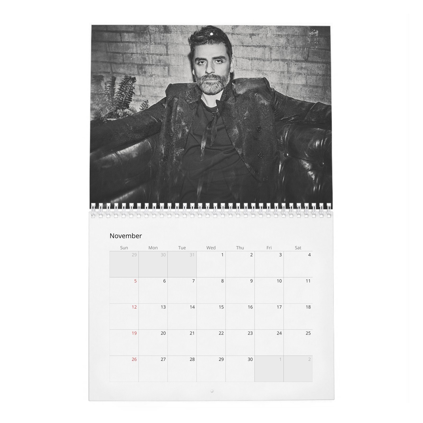 11 Oscar Isaac - The Dream Of 2027 Wall Calendar