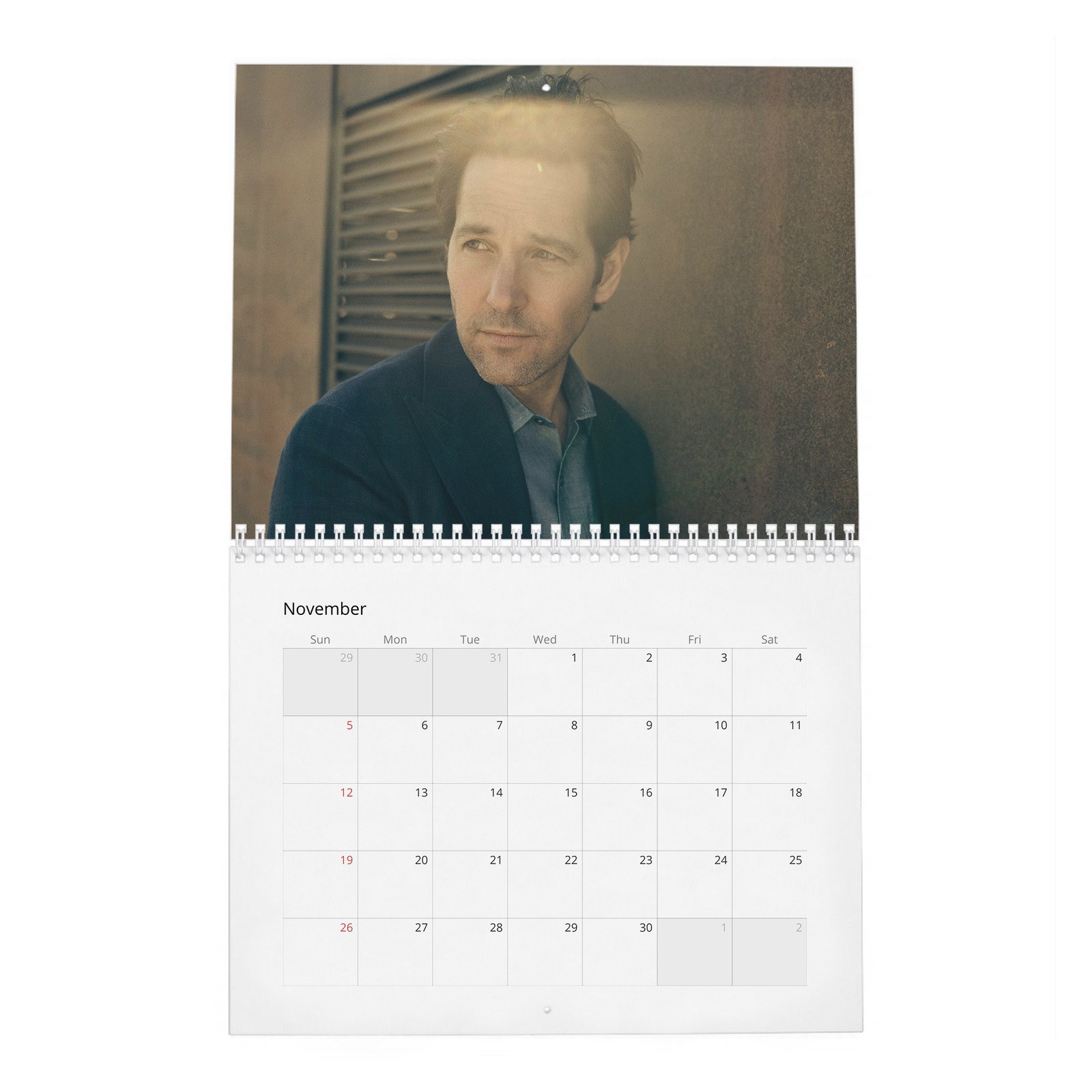 11 Paul Rudd - The Pole Vaulter 2027 Wall Calendar
